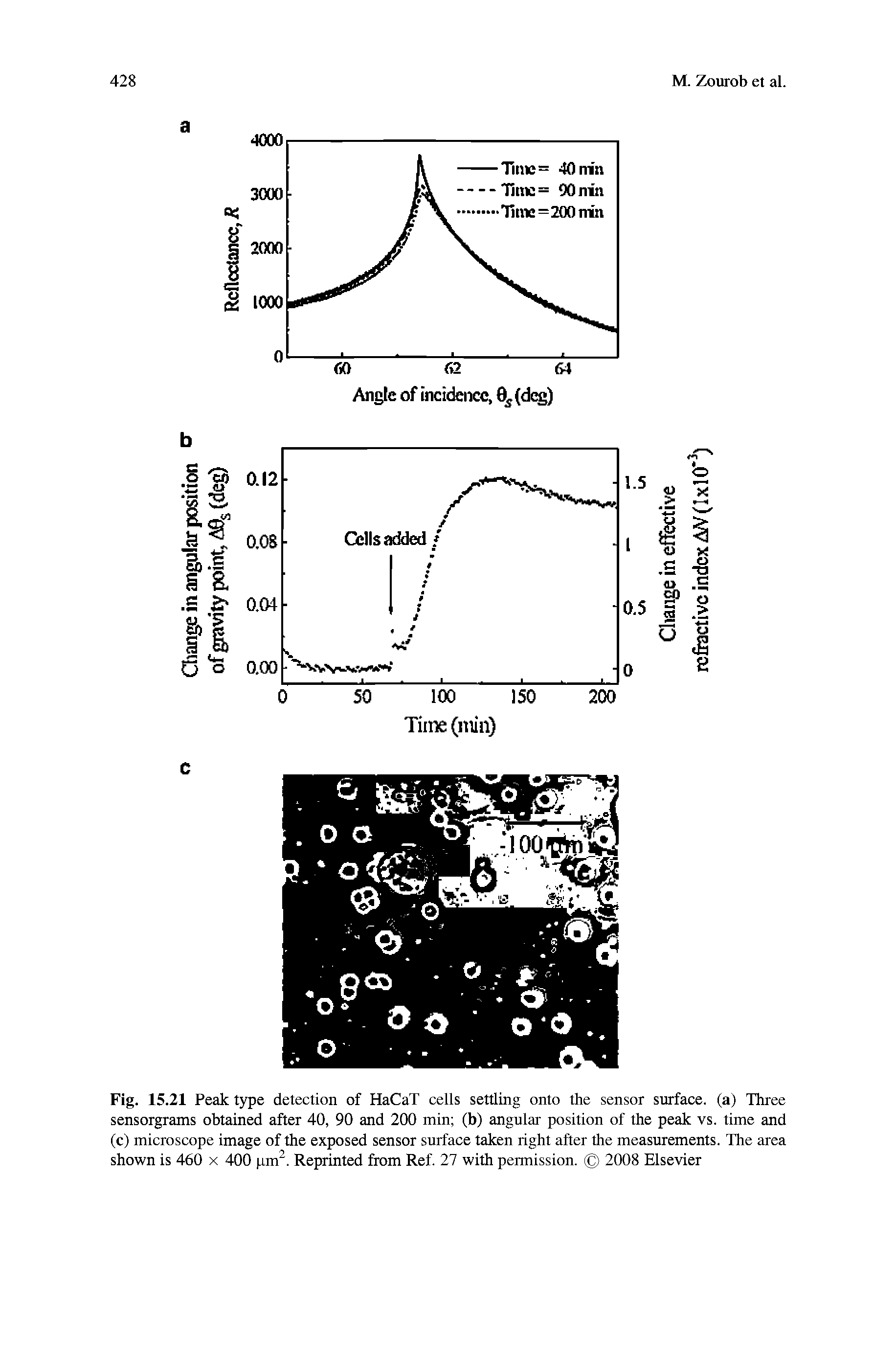 Fig. 15.21 Peak type detection of HaCaT cells settling onto the sensor surface, (a) Three sensorgrams obtained after 40, 90 and 200 min (b) angular position of the peak vs. time and (c) microscope image of the exposed sensor surface taken right after the measurements. The area shown is 460 x 400 pm2. Reprinted from Ref. 27 with permission. 2008 Elsevier...