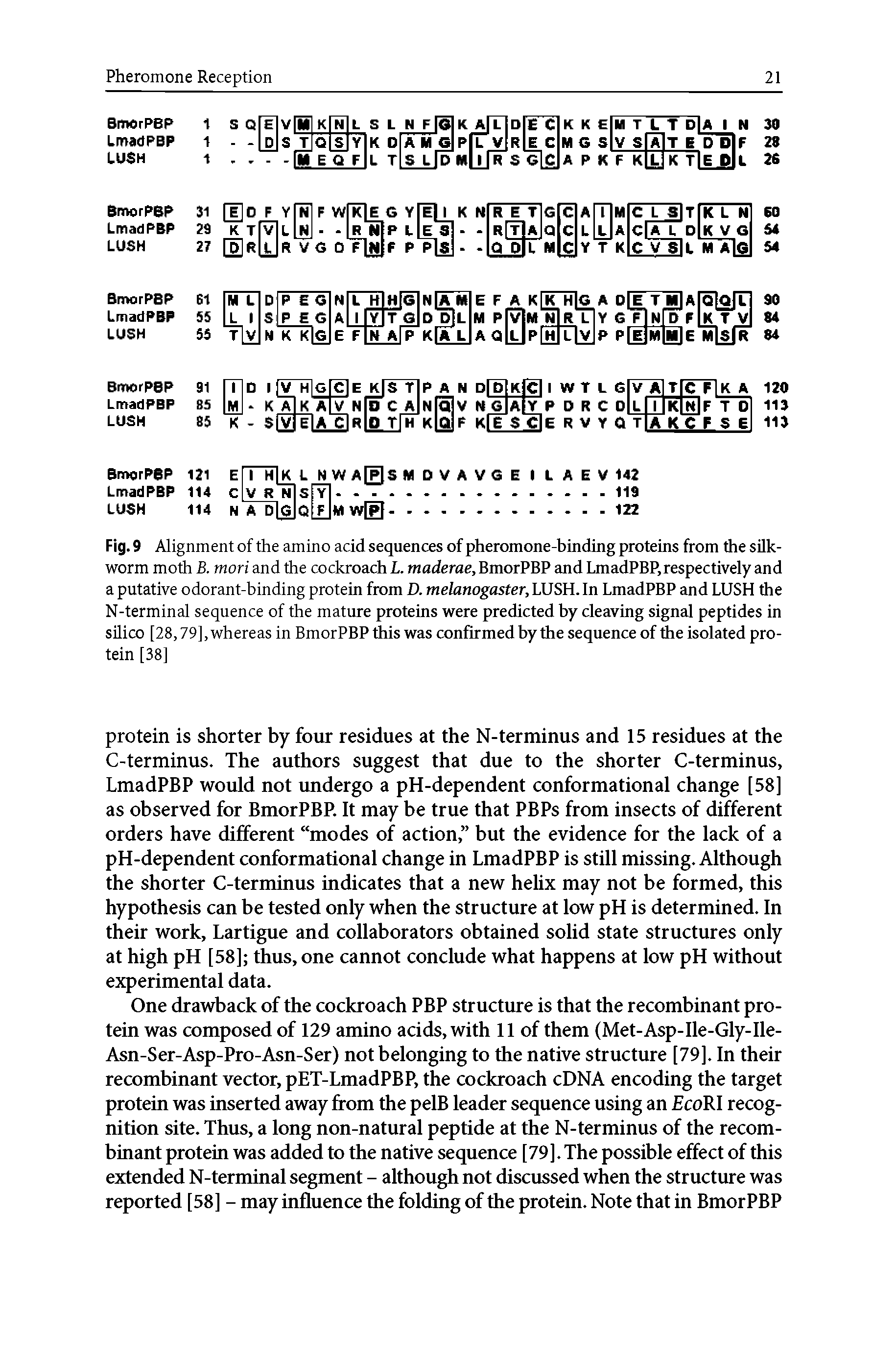 Fig. 9 Alignment of the amino acid sequences of pheromone-binding proteins from the silkworm moth B. mori and the cockroach L. maderae, BmorPBP and LmadPBP,respectively and a putative odorant-binding protein from D. melanogaster, LUSH. In LmadPBP and LUSH the N-terminal sequence of the mature proteins were predicted by cleaving signal peptides in silico [28,79], whereas in BmorPBP this was confirmed by the sequence of the isolated protein [38]...