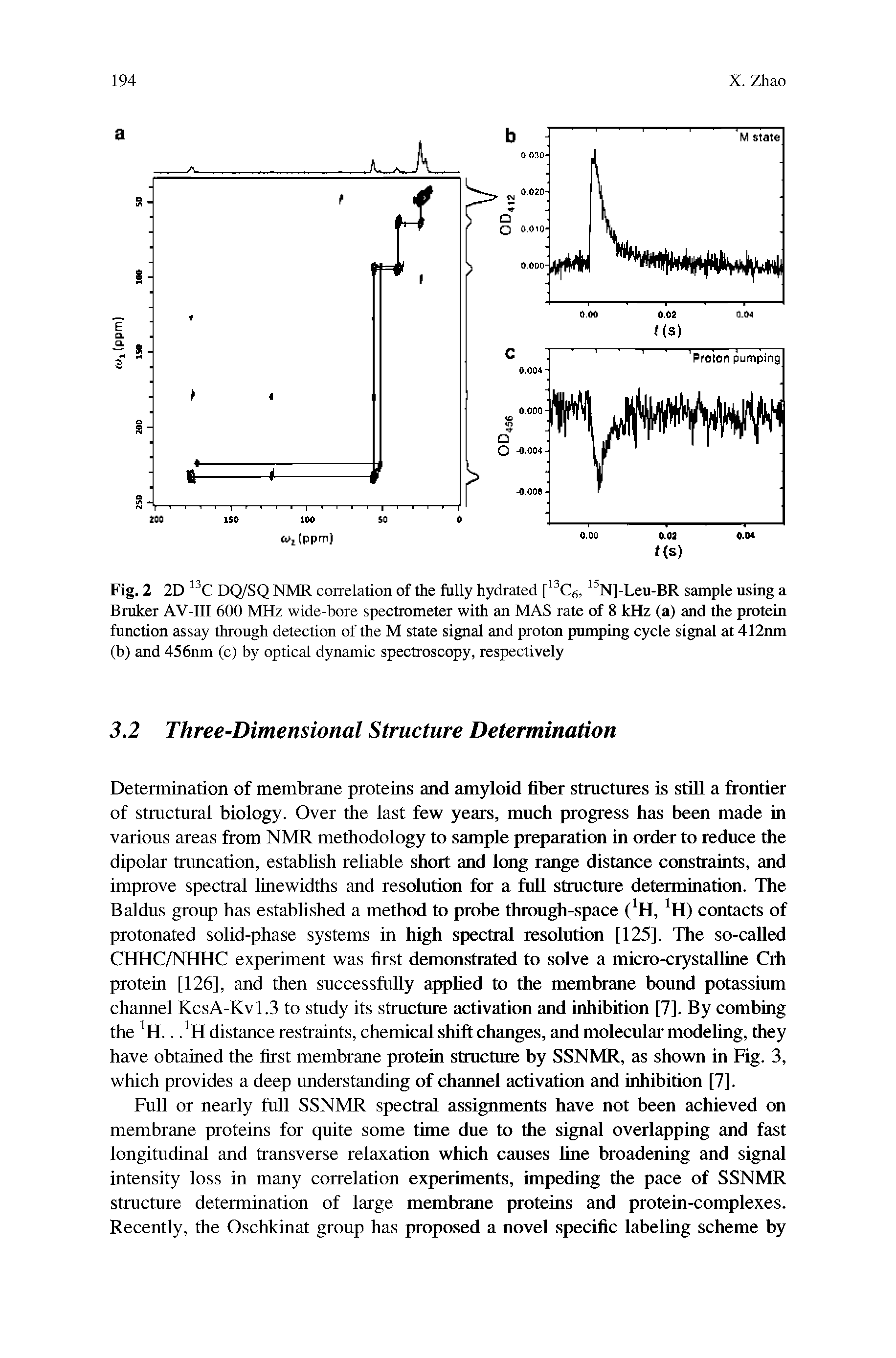 Fig. 2 2D DQ/SQ NMR correlation of the fully hydrated N]-Leu-BR sample using a Bruker AV-III 600 MHz wide-bore spectrometer with an MAS rate of 8 kHz (a) and the protein function assay through detection of the M state signal and proton pumping cycle signal at 412nm (b) and 456nm (c) by optical dynamic spectroscopy, respectively...