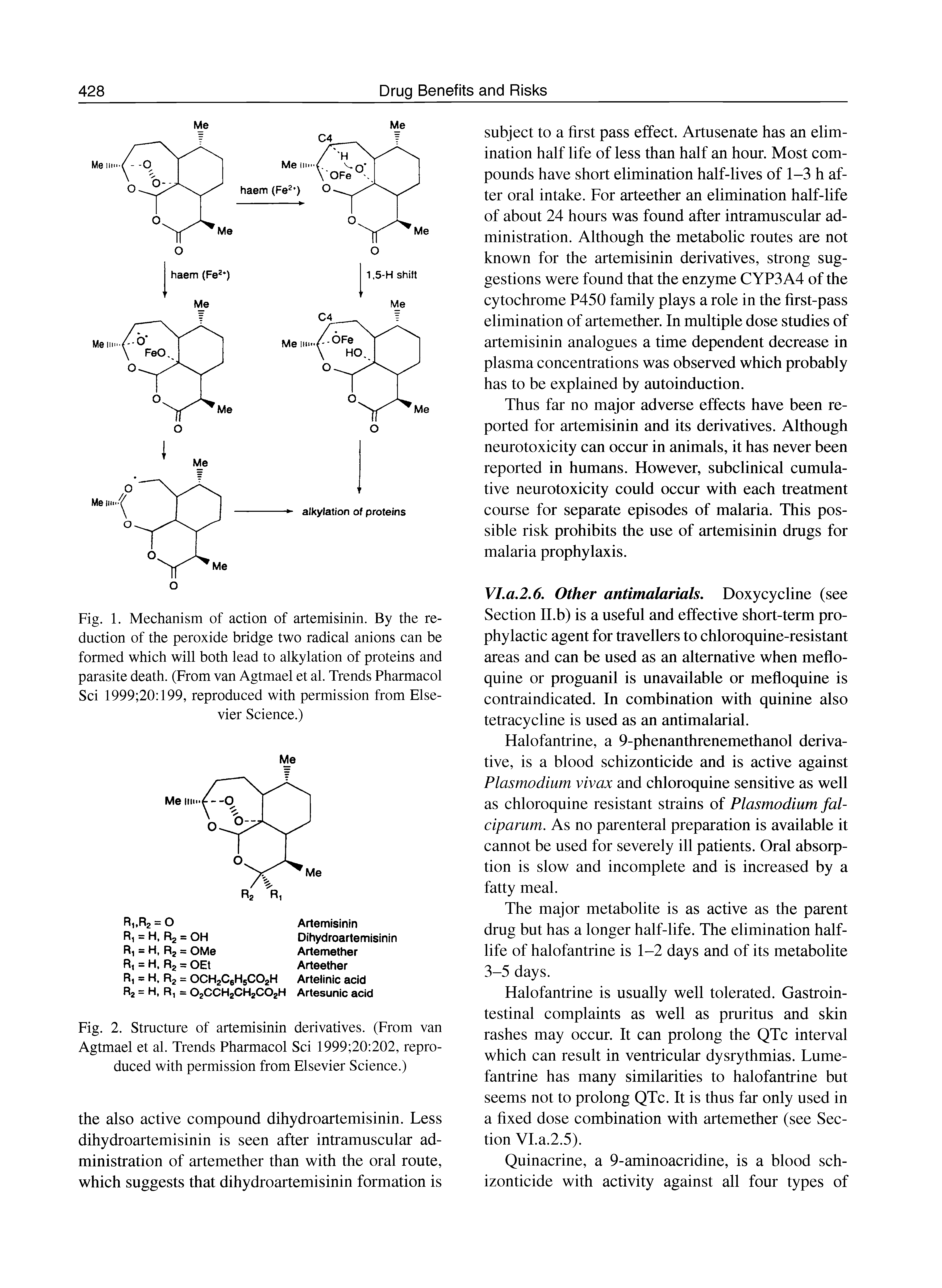 Fig. 1. Mechanism of action of artemisinin. By the reduction of the peroxide bridge two radical anions can be formed which will both lead to alkylation of proteins and parasite death. (From van Agtmael et al. Trends Pharmacol Sci 1999 20 199, reproduced with permission from Elsevier Science.)...