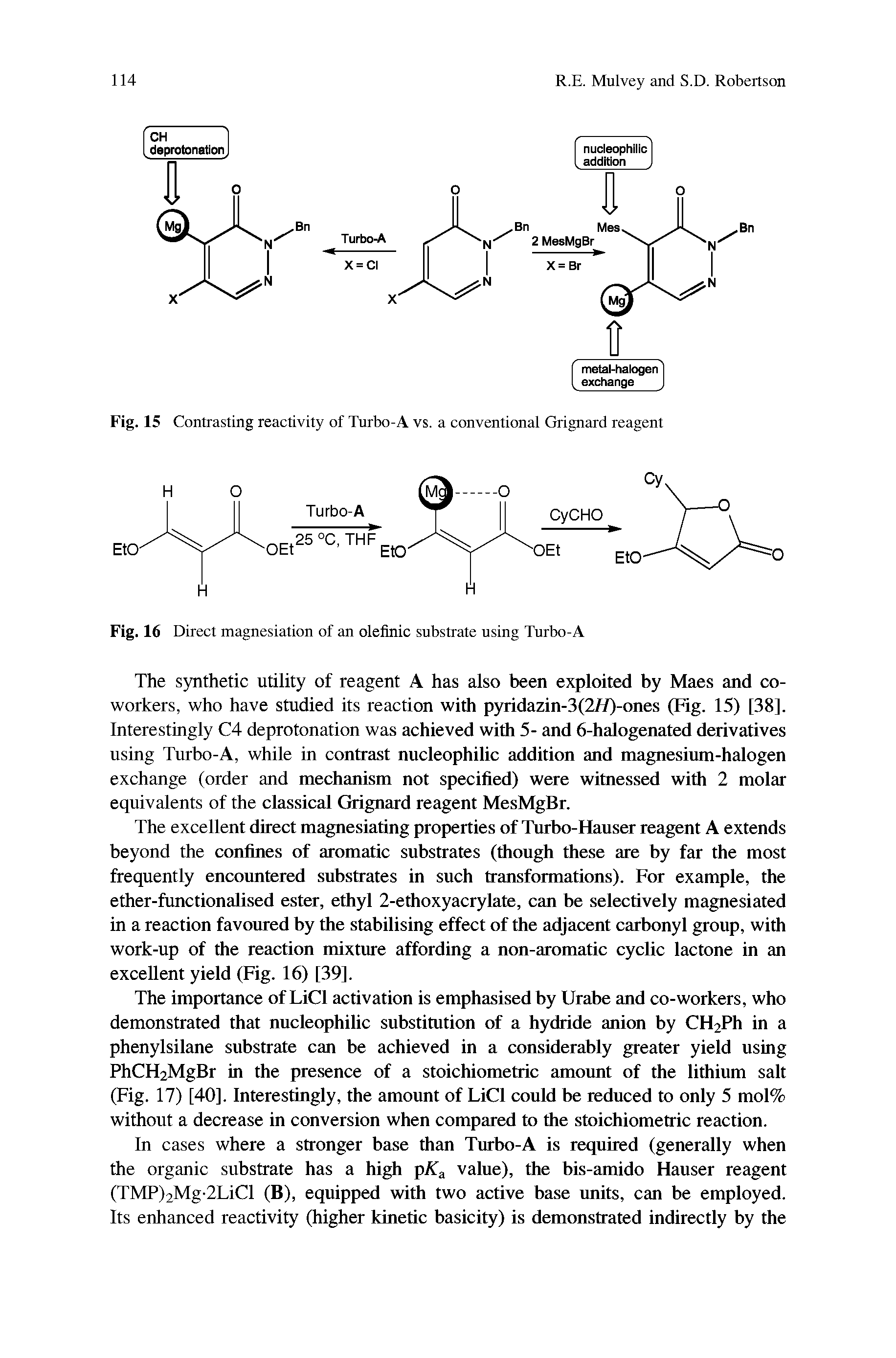 Fig. 16 Direct magnesiation of an oleflnic substrate using Turbo-A...