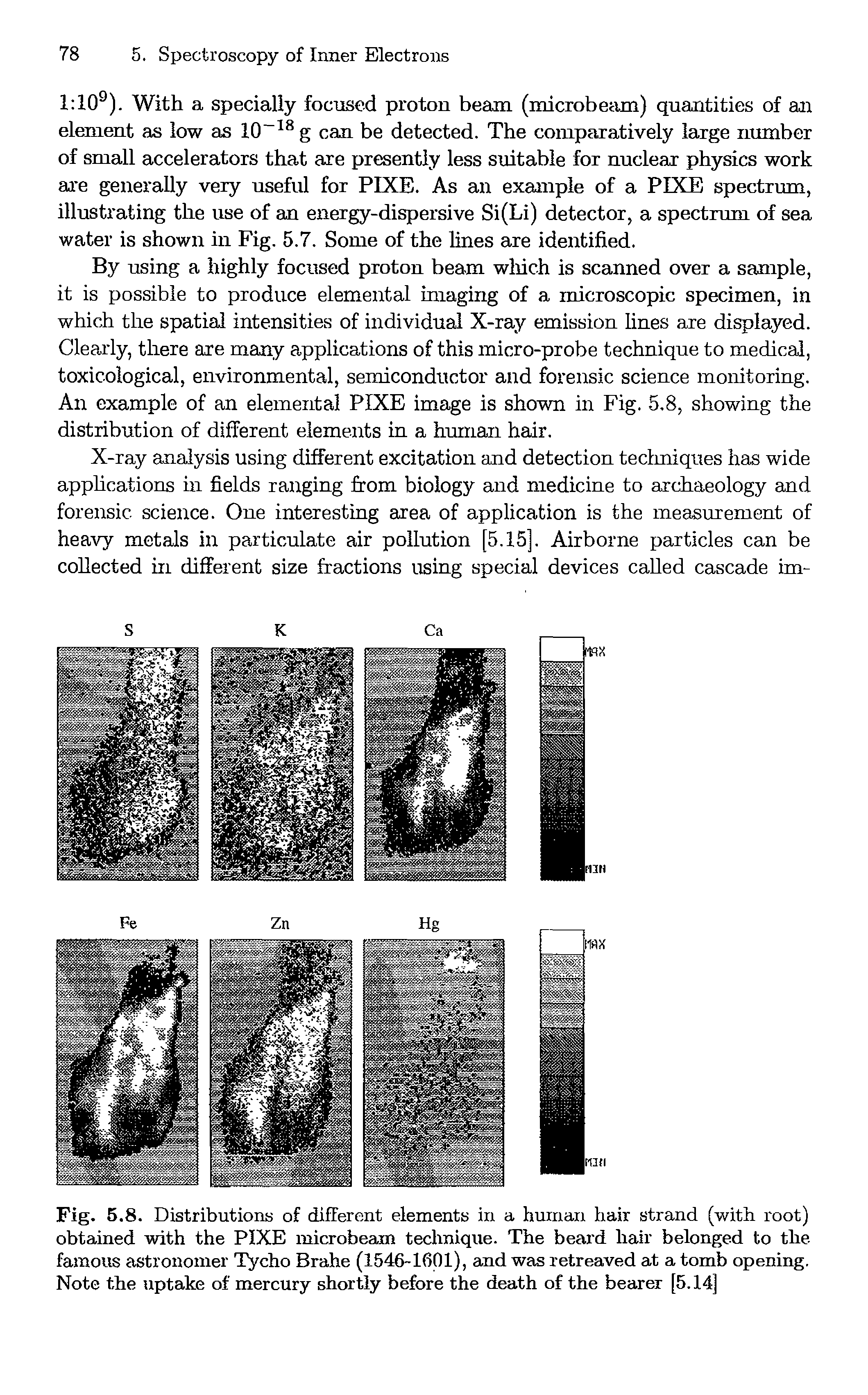 Fig. 5.8. Distributions of different elements in a human hair strand (with root) obtained with the PIXE microbeain technique. The beard hair belonged to the famous astronomer Tycho Brahe (1546-1601), and was retreaved at a tomb opening. Note the uptake of mercury shortly before the death of the bearer [5.14]...