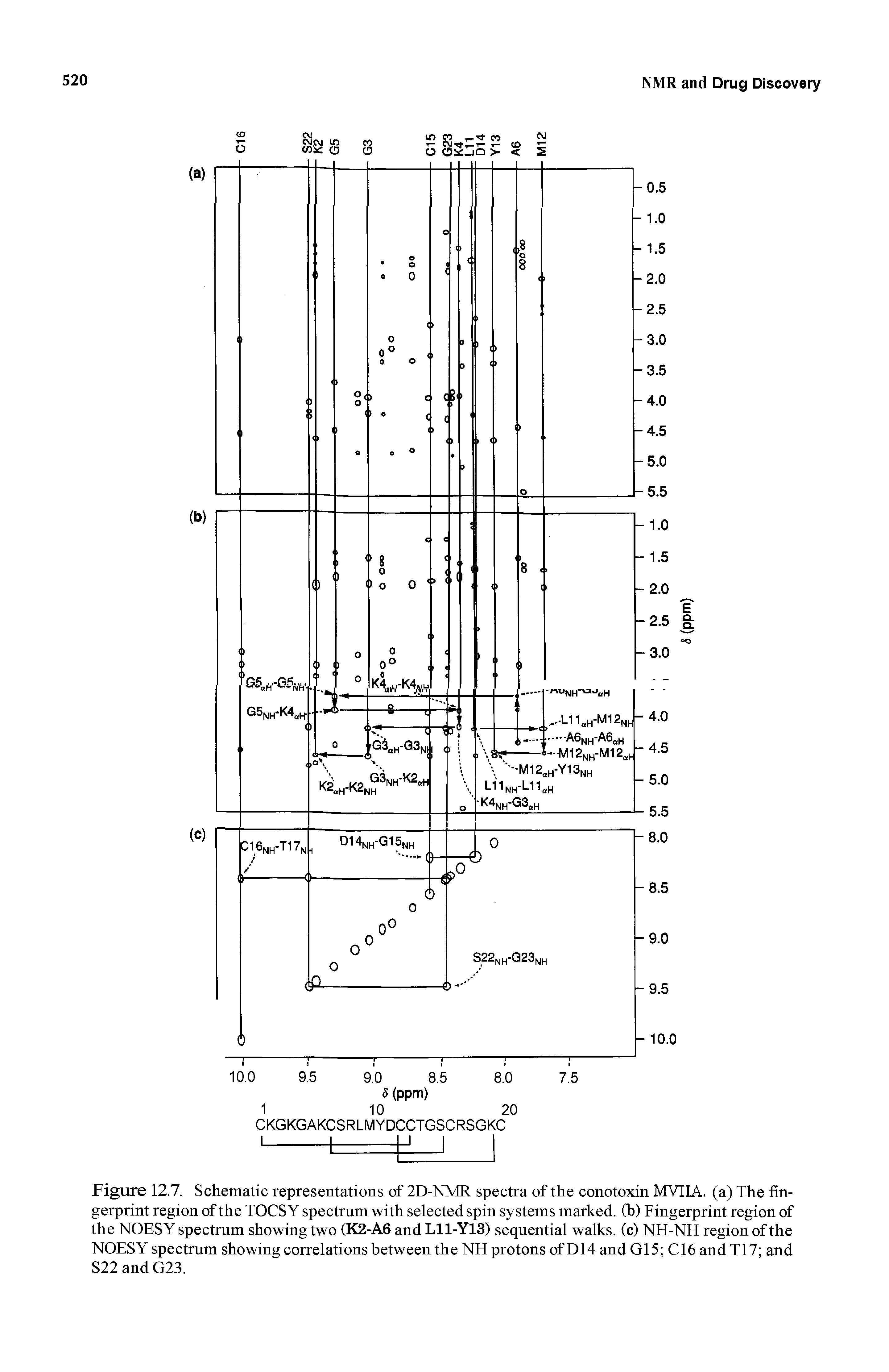 Figure 12.7. Schematic representations of 2D-NMR spectra of the conotoxin MVIIA, (a) The fingerprint region of the TOCSY spectrum with selected spin systems marked, (b) Fingerprint region of the NOESY spectrum showing two (K2-A6 and L11-Y13) sequential walks, (c) NH-NH region of the NOESY spectrum showing correlations between the NH protons of D14 and G15 C16 and T17 and S22 and G23.