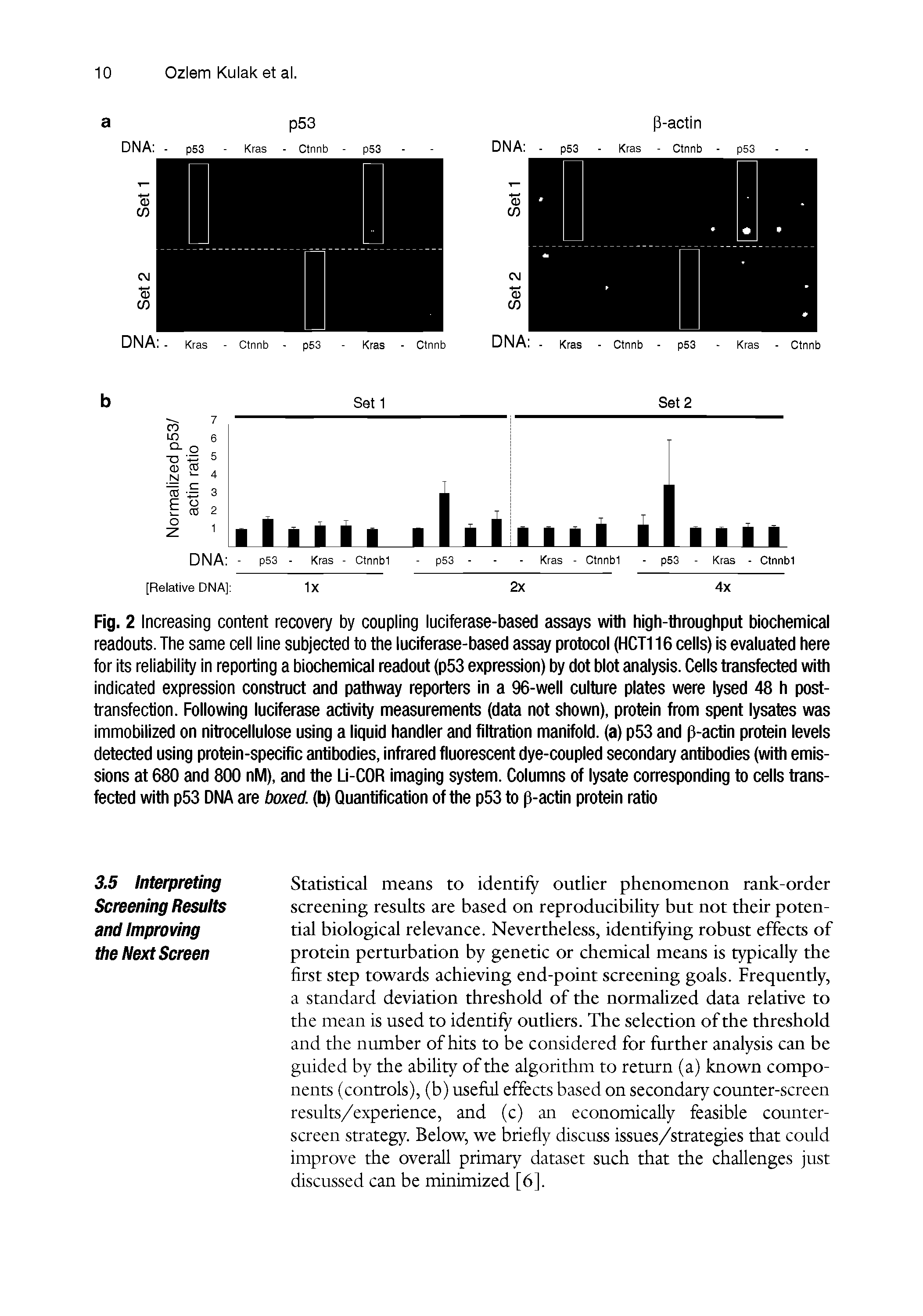 Fig. 2 Increasing content recovery by coupling luciferase-based assays with high-throughput biochemical readouts. The same cell line subjected to the luciferase-based assay protocol (HCT116 cells) is evaluated here for its reliability In reporting a biochemical readout (p53 expression) by dot blot analysis. Cells transfected with indicated expression construct and pathway reporters in a 96-well culture plates were lysed 48 h posttransfection. Following luciferase activity measurements (data not shown), protein from spent lysates was immobilized on nitrocellulose using a liquid handler and filtration manifold, (a) p53 and p-actin protein levels detected using protein-specific antibodies, infrared fluorescent dye-coupled secondary antibodies (with emissions at 680 and 800 nM), and the Li-COR imaging system. Columns of lysate corresponding to cells transfected with p53 DNA are boxed, (b) Quantification of the p53 to p-actin protein ratio...