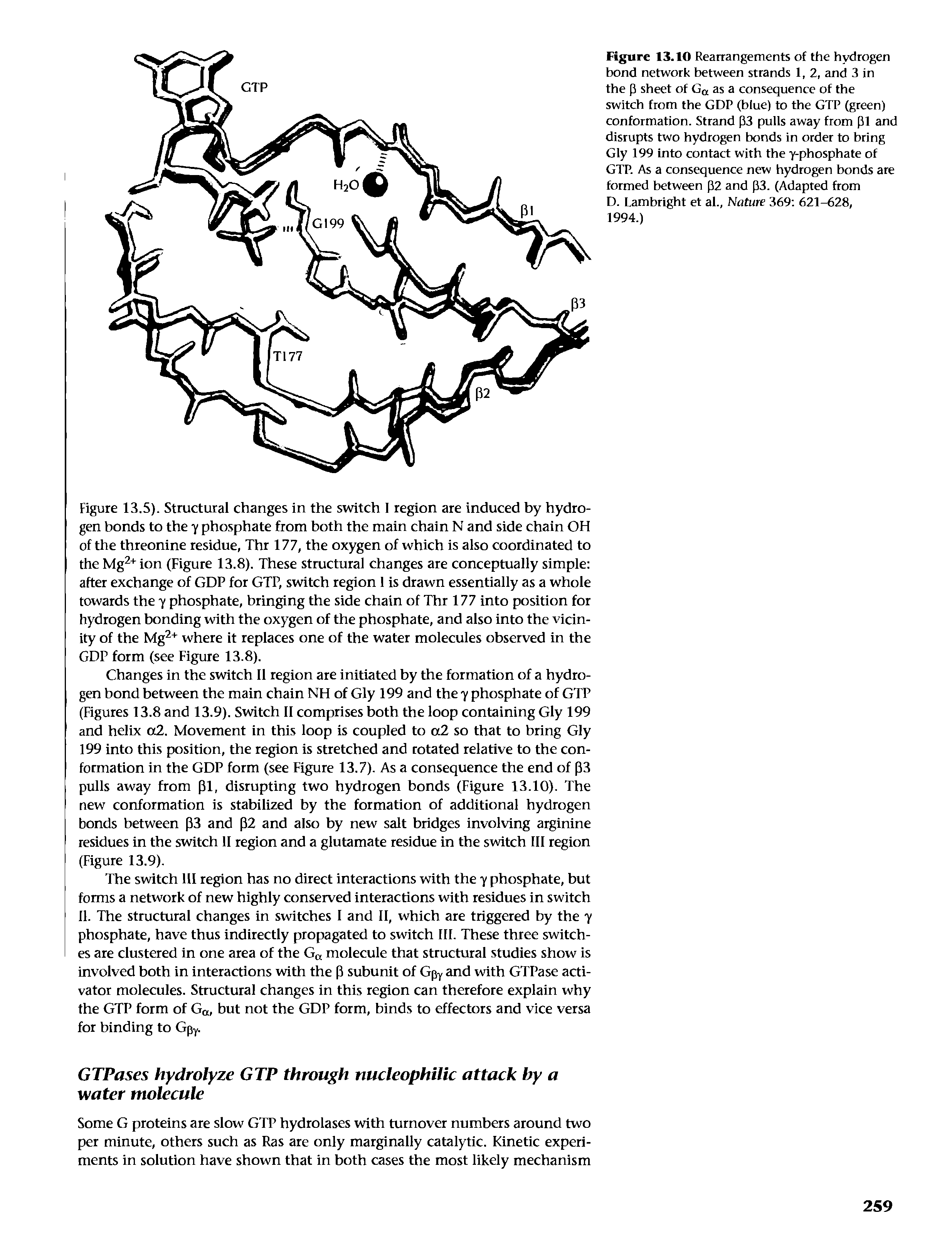 Figure 13.10 Rearrangements of the hydrogen bond network between strands 1, 2, and 3 in the p sheet of Go. as a consequence of the switch from the GDP (blue) to the GTP (green) conformation. Strand P3 pulls away from pi and disrupts two hydrogen bonds in order to bring Gly 199 into contact with the y-phosphate of GTP. As a consequence new hydrogen bonds are formed between P2 and P3. (Adapted from D. Lambright et al.. Nature 369 621-628,...