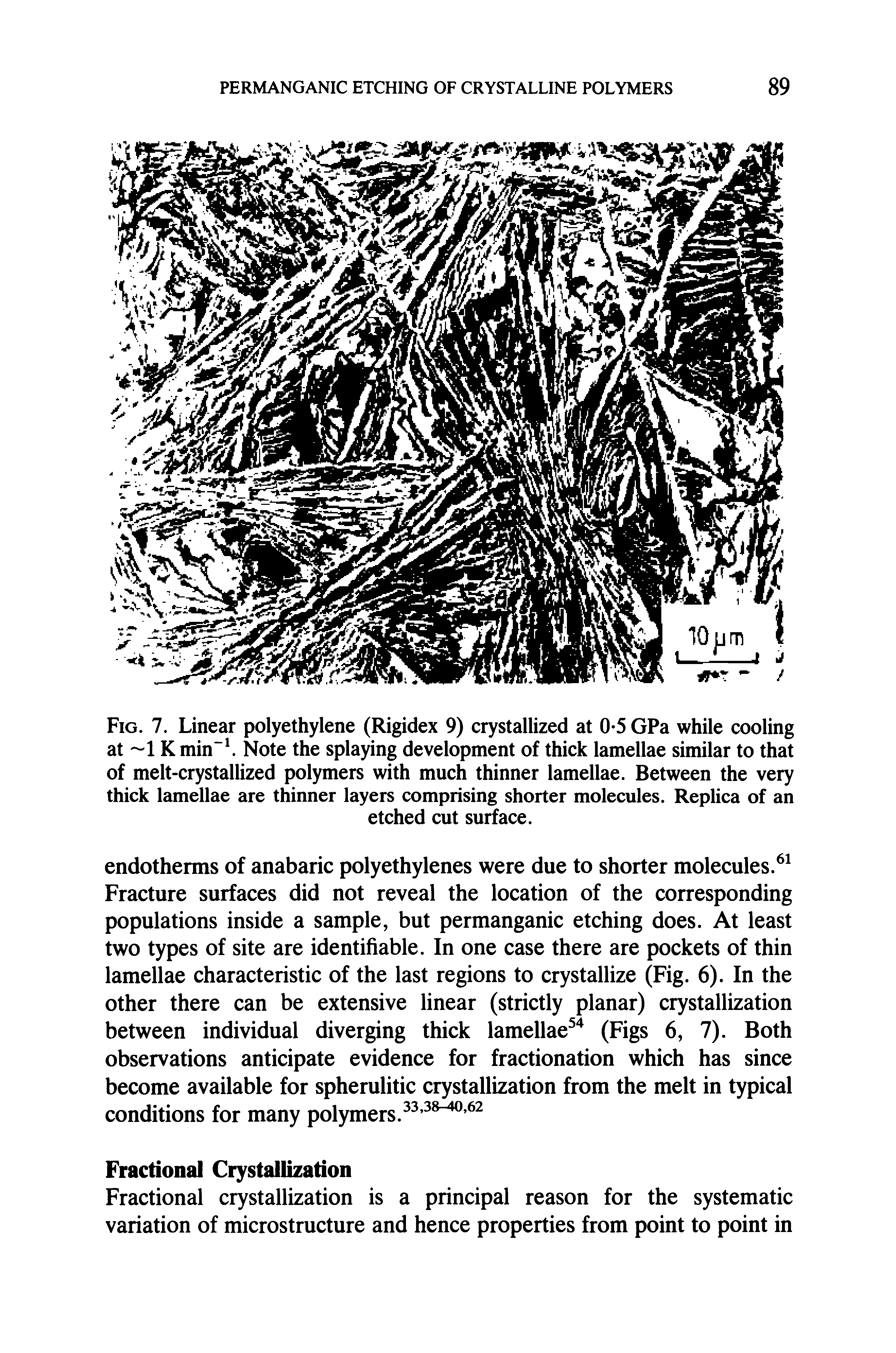 Fig. 7. Linear polyethylene (Rigidex 9) crystallized at 0-5 GPa while cooling at 1 Kmin . Note the splaying development of thick lamellae similar to that of melt-crystallized polymers with much thinner lamellae. Between the very thick leunellae are thinner layers comprising shorter molecules. Replica of an...