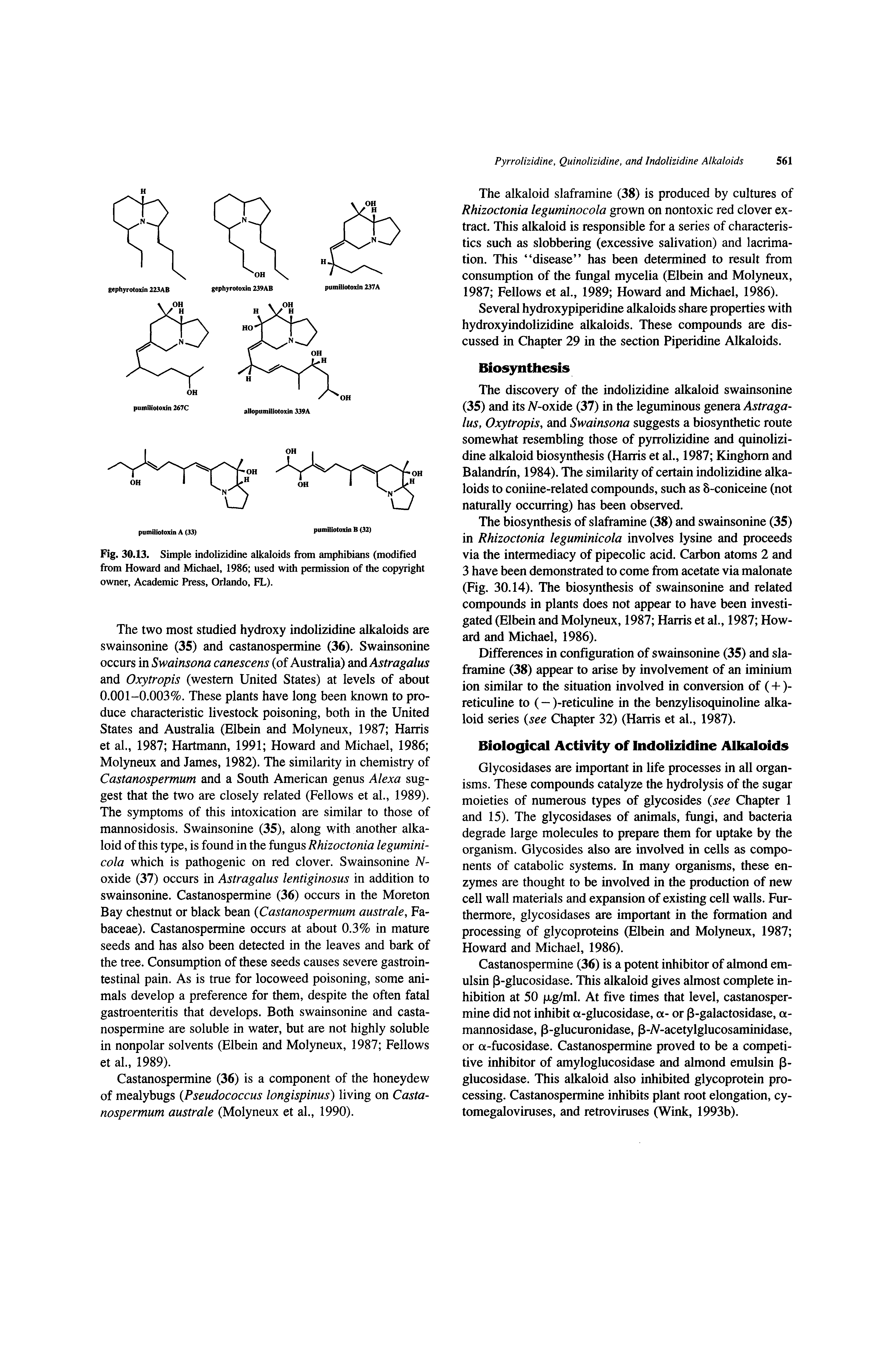 Fig. 30.13. Simple indolizidine alkaloids from amphibians (modified from Howard and Michael, 1986 used with permission of the copyright owner. Academic Press, Orlando, FL).