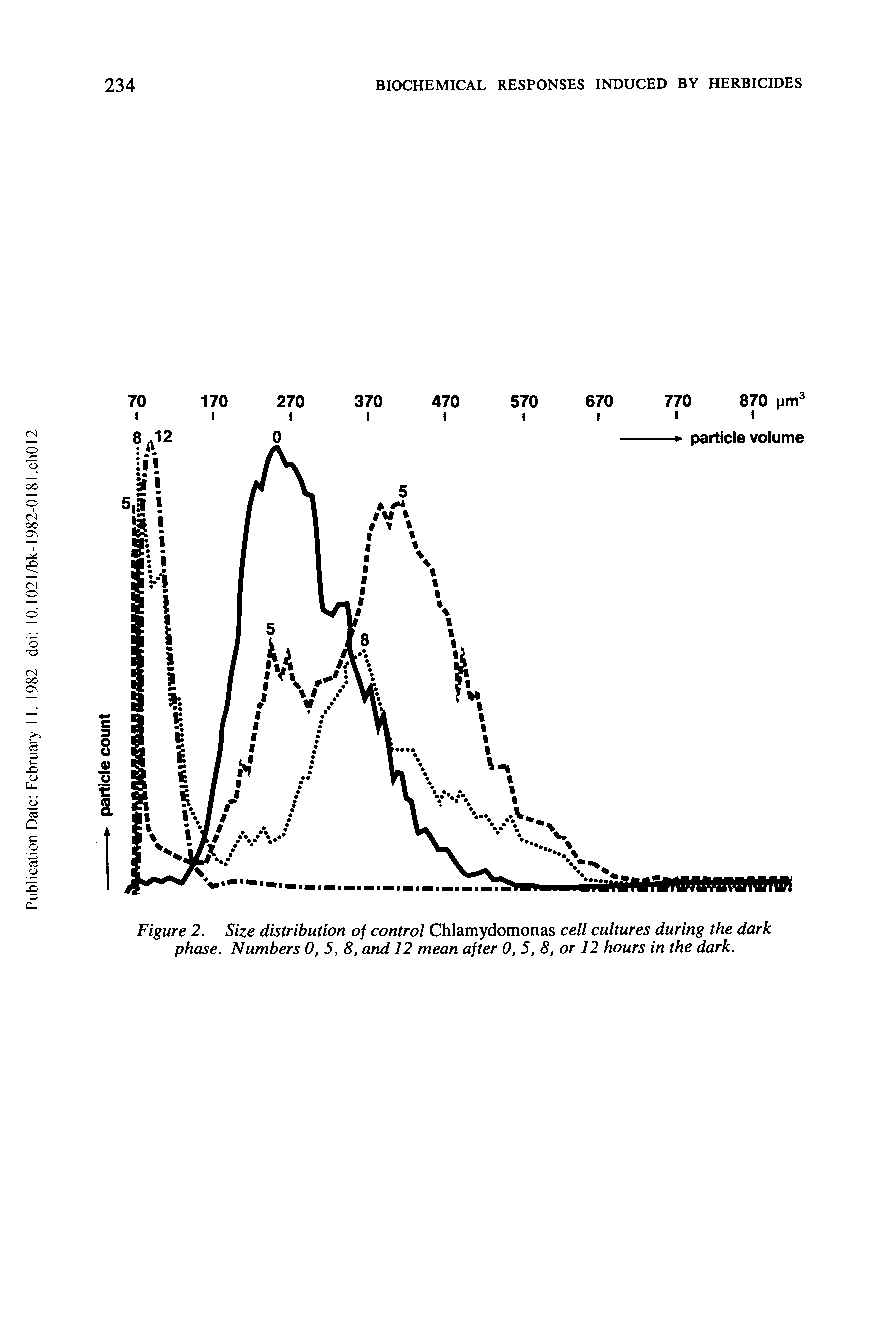 Figure 2. Size distribution of control Chlamydomonas cell cultures during the dark phase. Numbers 0, 5, 8, and 12 mean after 0, 5, 8, or 12 hours in the dark.