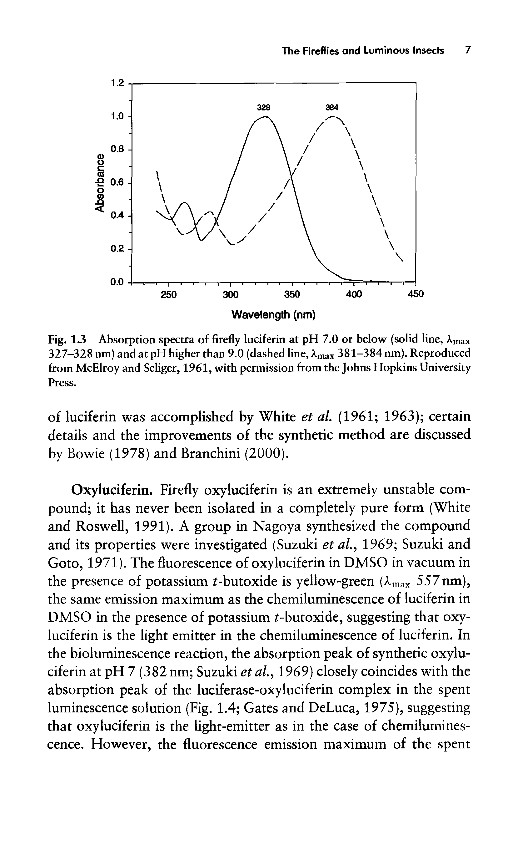 Fig. 1.3 Absorption spectra of firefly luciferin at pH 7.0 or below (solid line, Xmax 327-328 nm) and at pH higher than 9.0 (dashed line, Amax 381-384 nm). Reproduced from McElroy and Seliger, 1961, with permission from the Johns Hopkins University Press.
