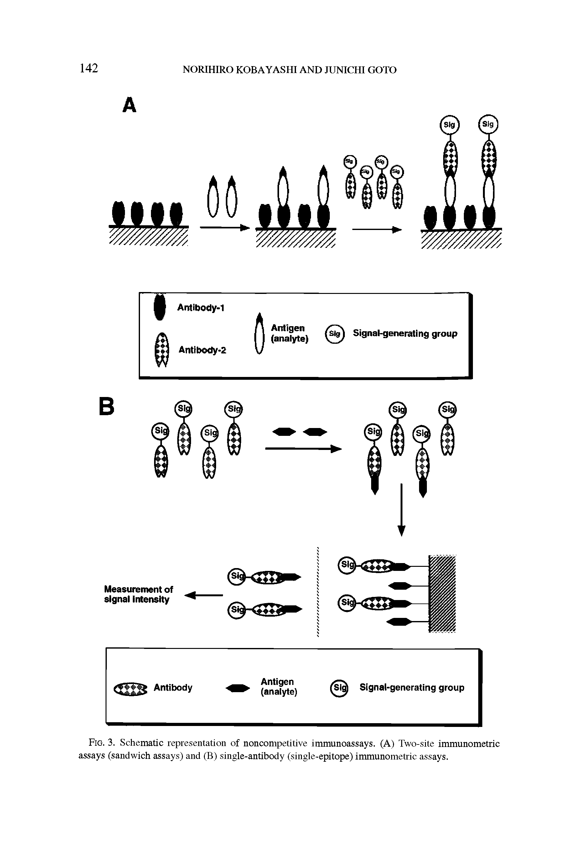 Fig. 3. Schematic representation of noncompetitive immunoassays. (A) Two-site immunometric assays (sandwich assays) and (B) single-antibody (single-epitope) immunometric assays.