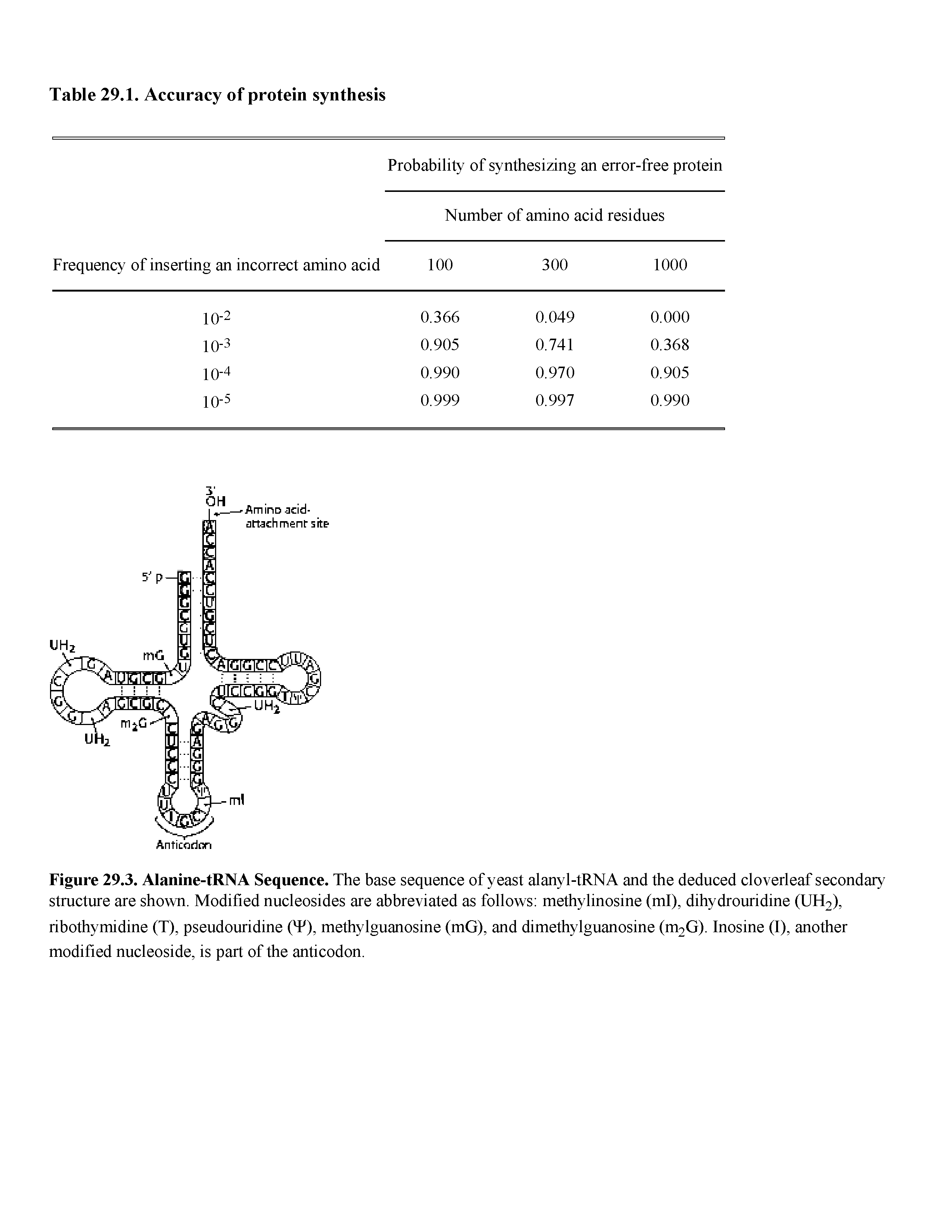 Figure 29.3. Alanine-tRNA Sequence. The base sequence of yeast alanyl-tRNA and the deduced cloverleaf secondary structure are shown. Modified nucleosides are abbreviated as follows methylinosine (ml), dihydrouridine (UH2),...