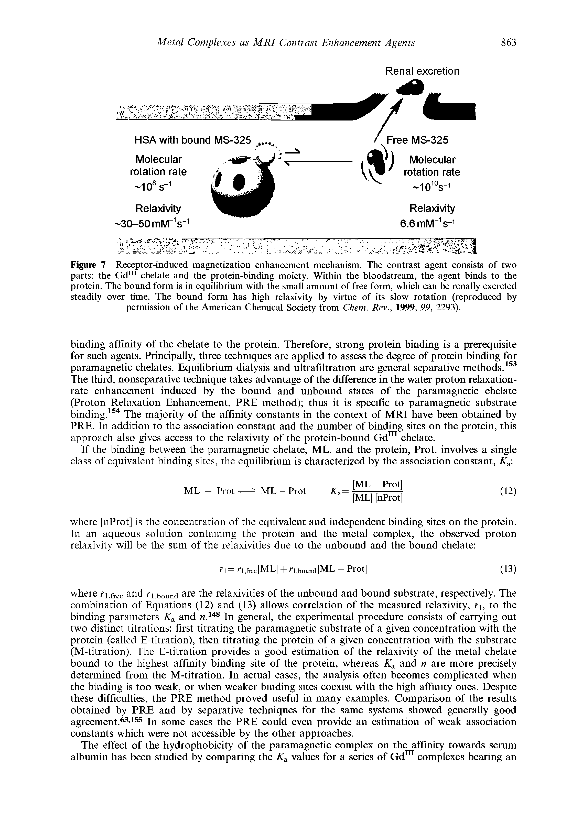 Figure 7 Receptor-induced magnetization enhancement mechanism. The contrast agent consists of two parts the Gdm chelate and the protein-binding moiety. Within the bloodstream, the agent binds to the protein. The bound form is in equilibrium with the small amount of free form, which can be renally excreted steadily over time. The bound form has high relaxivity by virtue of its slow rotation (reproduced by permission of the American Chemical Society from Chem. Rev., 1999, 99, 2293).