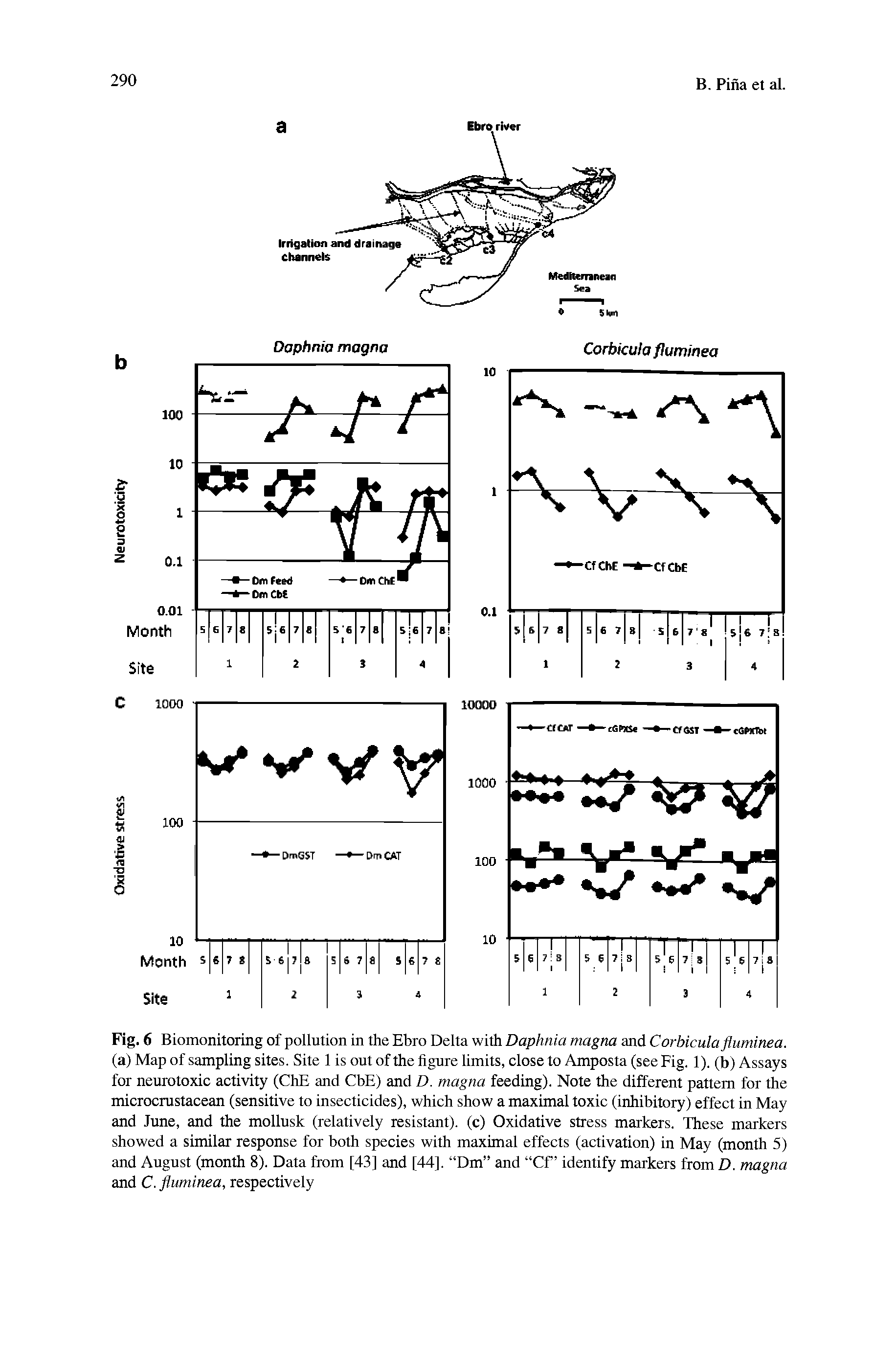 Fig. 6 Biomonitoring of pollution in the Ebro Delta with Daphnia magna and Corbicula fluminea. (a) Map of sampling sites. Site 1 is out of the figure limits, close to Amposta (see Fig. 1). (b) Assays for neurotoxic activity (ChE and CbE) and D. magna feeding). Note the different pattern for the microcrustacean (sensitive to insecticides), which show a maximal toxic (inhibitory) effect in May and June, and the mollusk (relatively resistant), (c) Oxidative stress markers. These markers showed a similar response for both species with maximal effects (activation) in May (month 5) and August (month 8). Data from [43] and [44], Dm and Cf identify markers from D. magna and C. fluminea, respectively...