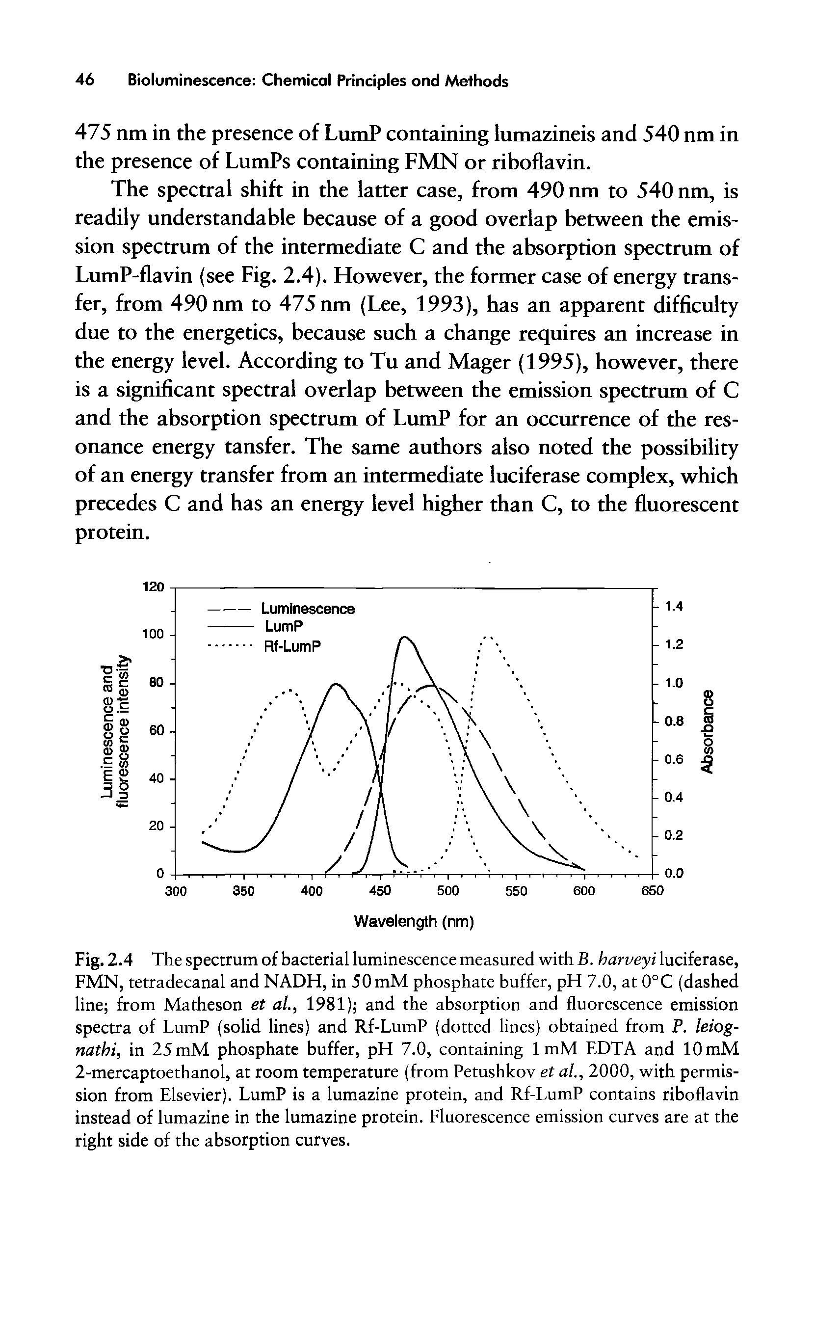 Fig. 2.4 The spectrum of bacterial luminescence measured with B. harveyi luciferase, FMN, tetradecanal and NADH, in 50 mM phosphate buffer, pH 7.0, at 0°C (dashed line from Matheson et al., 1981) and the absorption and fluorescence emission spectra of LumP (solid lines) and Rf-LumP (dotted lines) obtained from P. leiog-natbi, in 25 mM phosphate buffer, pH 7.0, containing 1 mM EDTA and 10 mM 2-mercaptoethanol, at room temperature (from Petushkov et al, 2000, with permission from Elsevier). LumP is a lumazine protein, and Rf-LumP contains riboflavin instead of lumazine in the lumazine protein. Fluorescence emission curves are at the right side of the absorption curves.