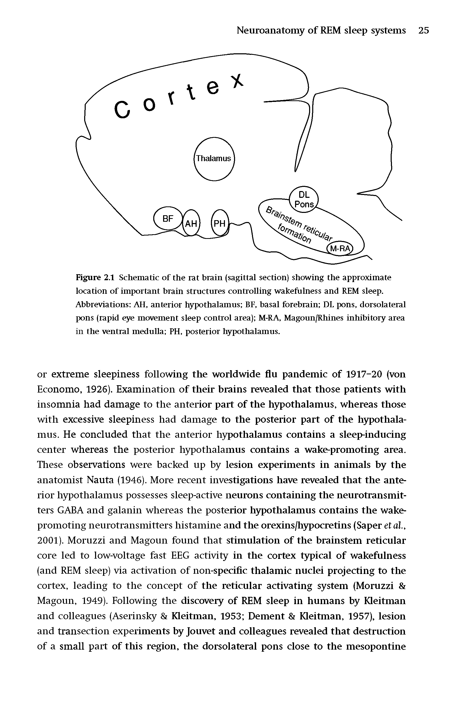 Figure 2.1 Schematic of the rat brain (sagittal section) showing the approximate location of important brain structures controlling wakefulness and REM sleep. Abbreviations AH, anterior hypothalamus BF, basal forebrain DL pons, dorsolateral pons (rapid eye movement sleep control area) M-RA, Magoun/Rhines inhibitory area in the ventral medulla PH, posterior hypothalamus.