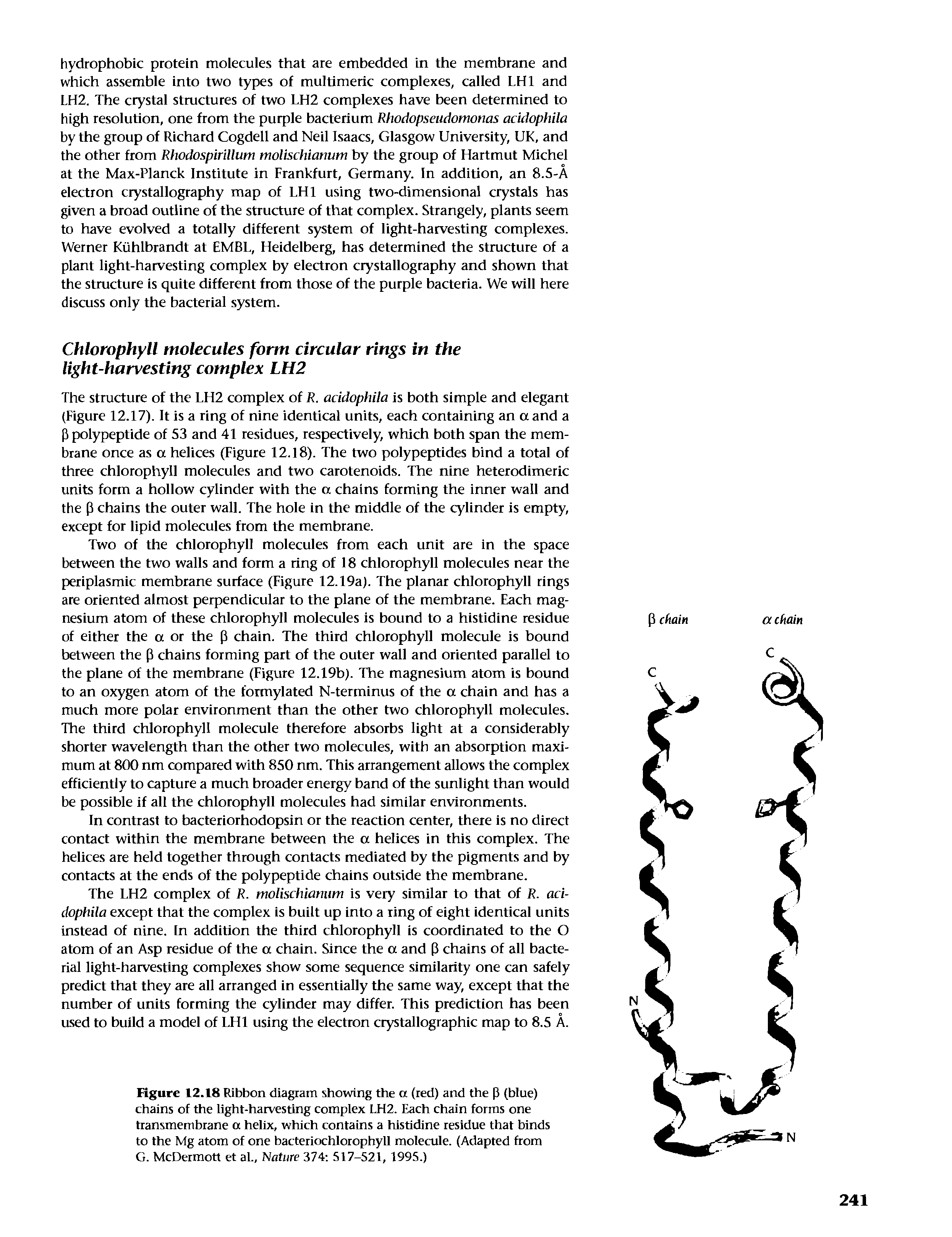 Figure 12.18 Ribbon diagram showing the a (red) and the P (blue) chains of the light-harvesting complex LH2. Each chain forms one transmembrane a helix, which contains a histidine residue that binds to the Mg atom of one bacteriochlorophyll molecule. (Adapted from G. McDermott et al.. Nature 374 517-521, 1995.)...