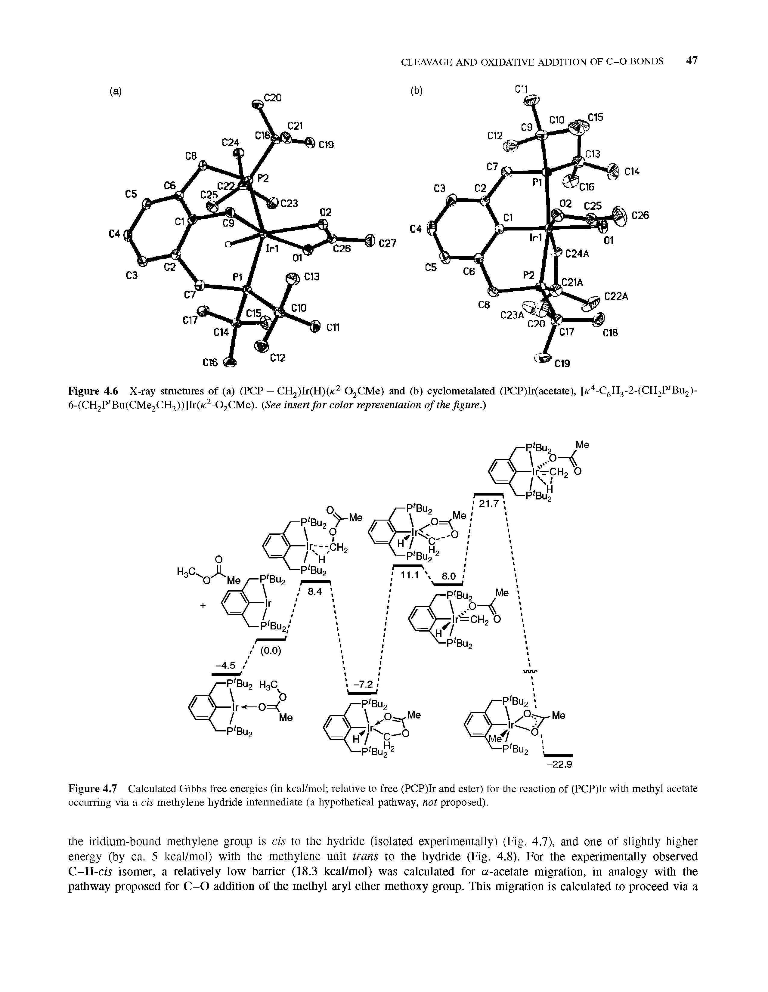 Figure 4.7 Calculated Gibbs free energies (in kcal/mol relative to free (PCP)Ir and ester) for the reaction of (PCP)lr with methyl acetate occurring via a cis methylene hydride intermediate (a hypothetical pathway, not proposed).