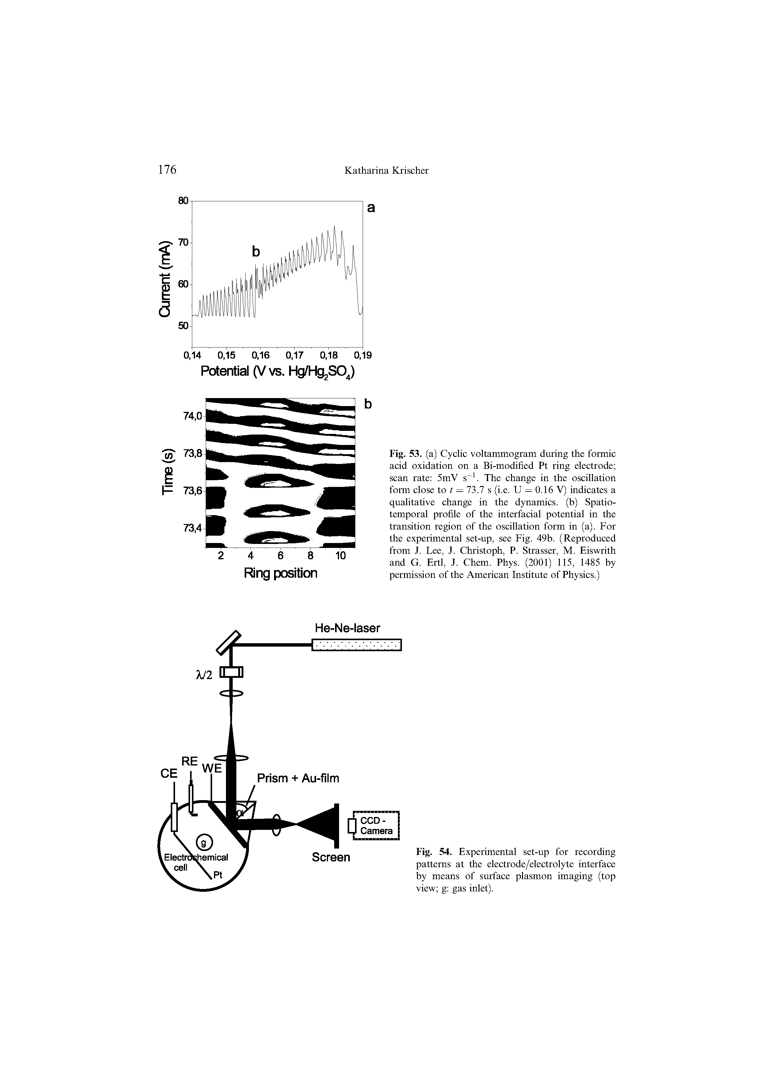 Fig. 54. Experimental set-up for recording patterns at the electrode/electrolyte interface by means of surface plasmon imaging (top view g gas inlet).