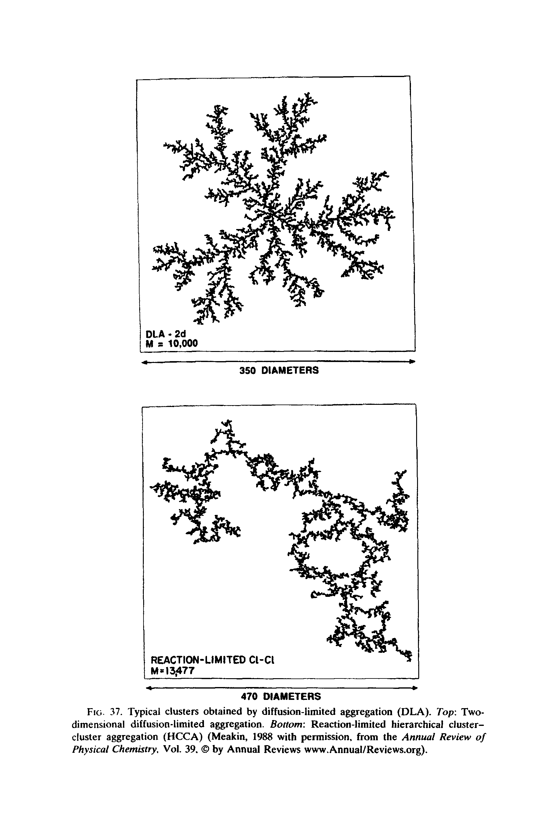 Fig. 37. Typical clusters obtained by diffusion-limited aggregation (DLA). Top Two-dimensional diffusion-limited aggregation. Bottom Reaction-limited hierarchical cluster-cluster aggregation (HCCA) (Meakin, 1988 with permission, from the Annual Review of Physical Chemistry, Vol. 39. by Annual Reviews www.Annual/Reviews.org).