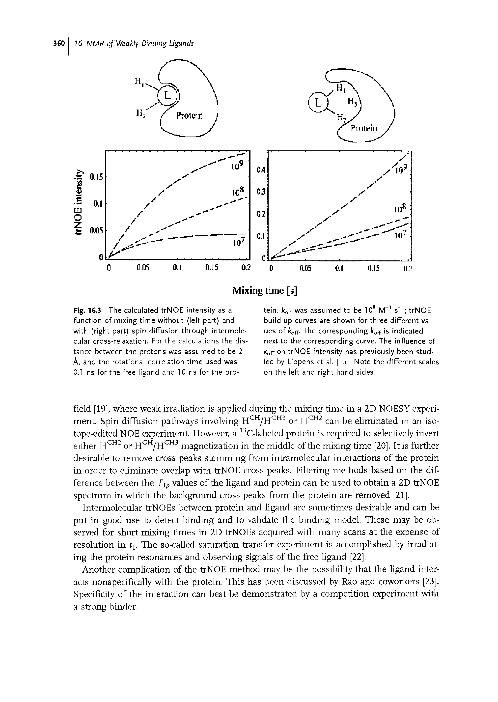 Fig. 16.3 The calculated trNOE intensity as a function of mixing time without (left part) and with (right part) spin diffusion through intermole-cular cross-relaxation. For the calculations the distance between the protons was assumed to be 2 A, and the rotational correlation time used was 0.1 ns for the free ligand and 10 ns for the pro-...