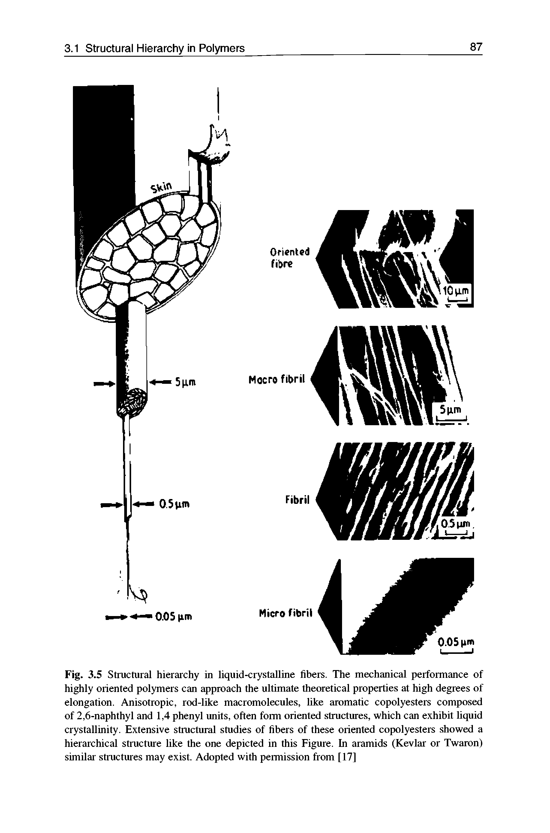 Fig. 3.5 Structural hierarchy in liquid-crystalline fibers. The mechanical performance of highly oriented polymers can approach the ultimate theoretical properties at high degrees of elongation. Anisotropic, rod-like macromolecules, like aromatic copolyesters composed of 2,6-naphthyl and 1,4 phenyl units, often form oriented structures, which can exhibit liquid crystallinity. Extensive structural studies of fibers of these oriented copolyesters showed a hierarchical structure like the one depicted in this Figure. In aramids (Kevlar or Twaron) similar structures may exist. Adopted with permission from [17]...