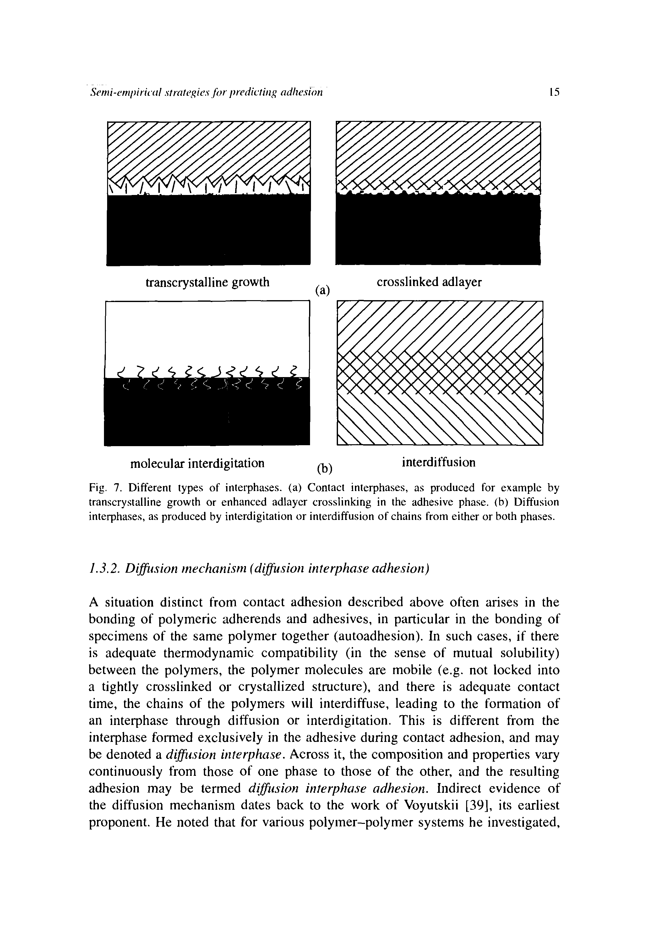 Fig. 7. Different types of interphases. (a) Contact interphases, as produced for example by transcrystalline growth or enhanced adlayer crosslinking in the adhesive phase, (b) Diffusion interphases, as produced by interdigitation or interdiffusion of chains from either or both phases.