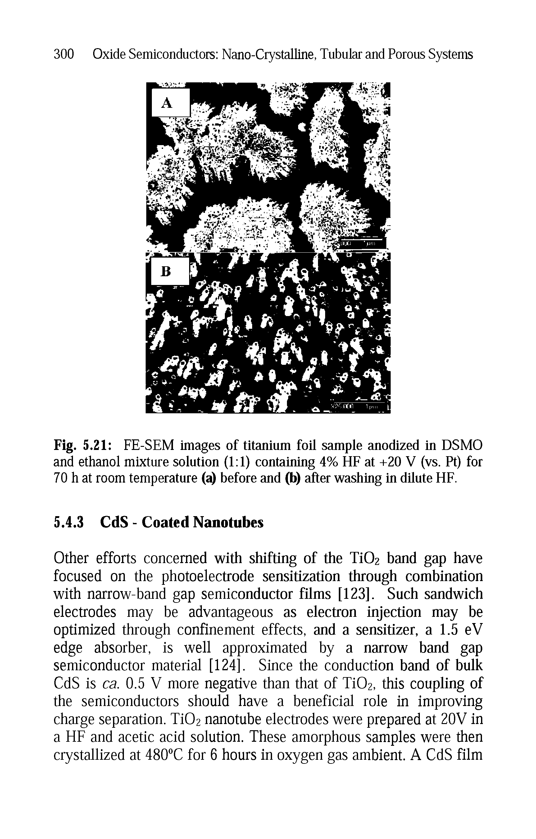 Fig. 5.21 FE-SEM images of titanium foil sample anodized in DSMO and ethanol mixture solution (1 1) containing 4% HE at -h20 V (vs. Pt) for 70 h at room temperature (a) before and (b) after washing in dilute HE.