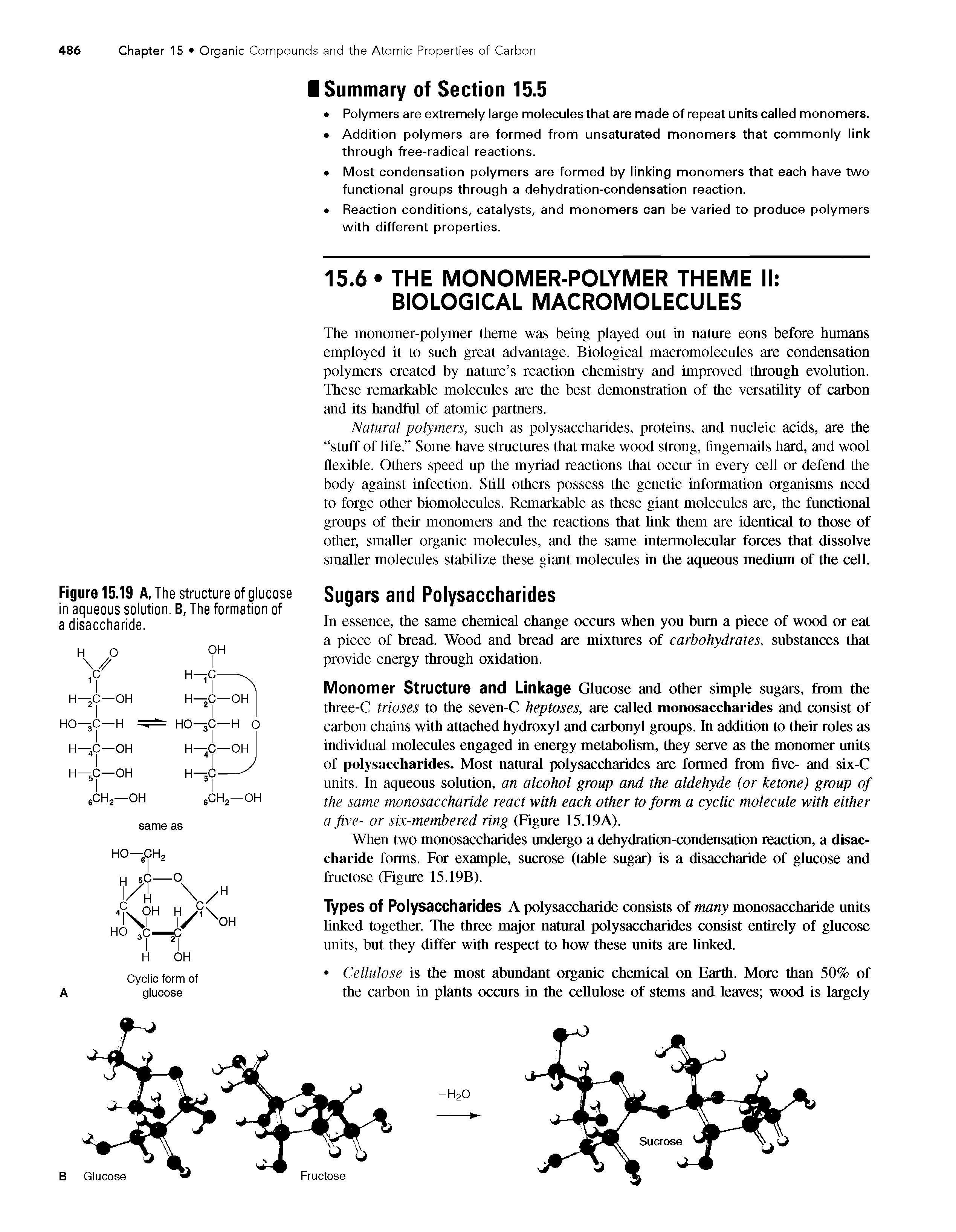 Figure 15.19 A, The structure of glucose in aqueous solution. B, The formation of a disaccharide.