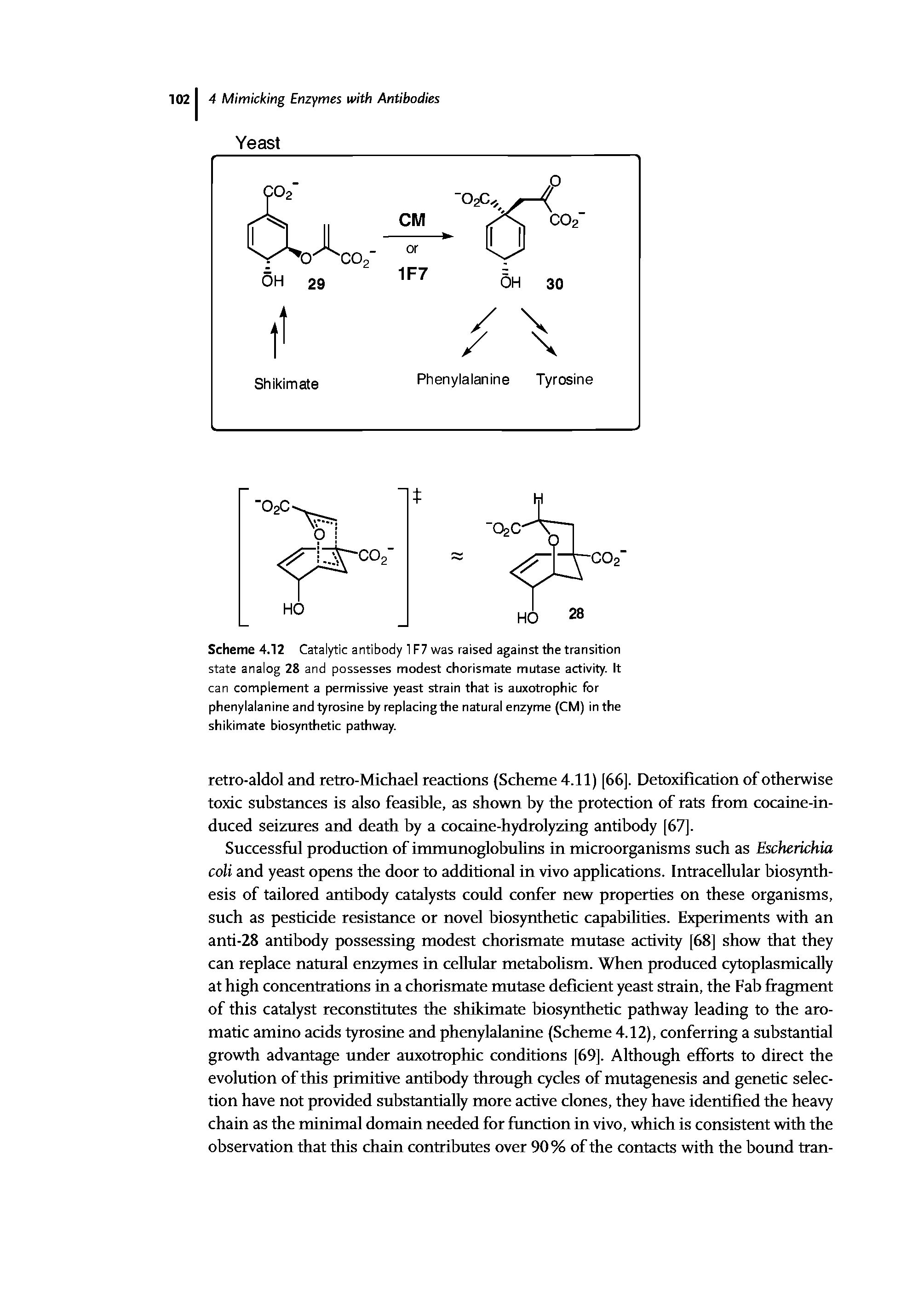Scheme 4.12 Catalytic antibody 1F7 was raised against the transition state analog 28 and possesses modest chorismate mutase activity. It can complement a permissive yeast strain that is auxotrophic for phenylalanine and tyrosine by replacingthe natural enzyme (CM) in the shikimate biosynthetic pathway.