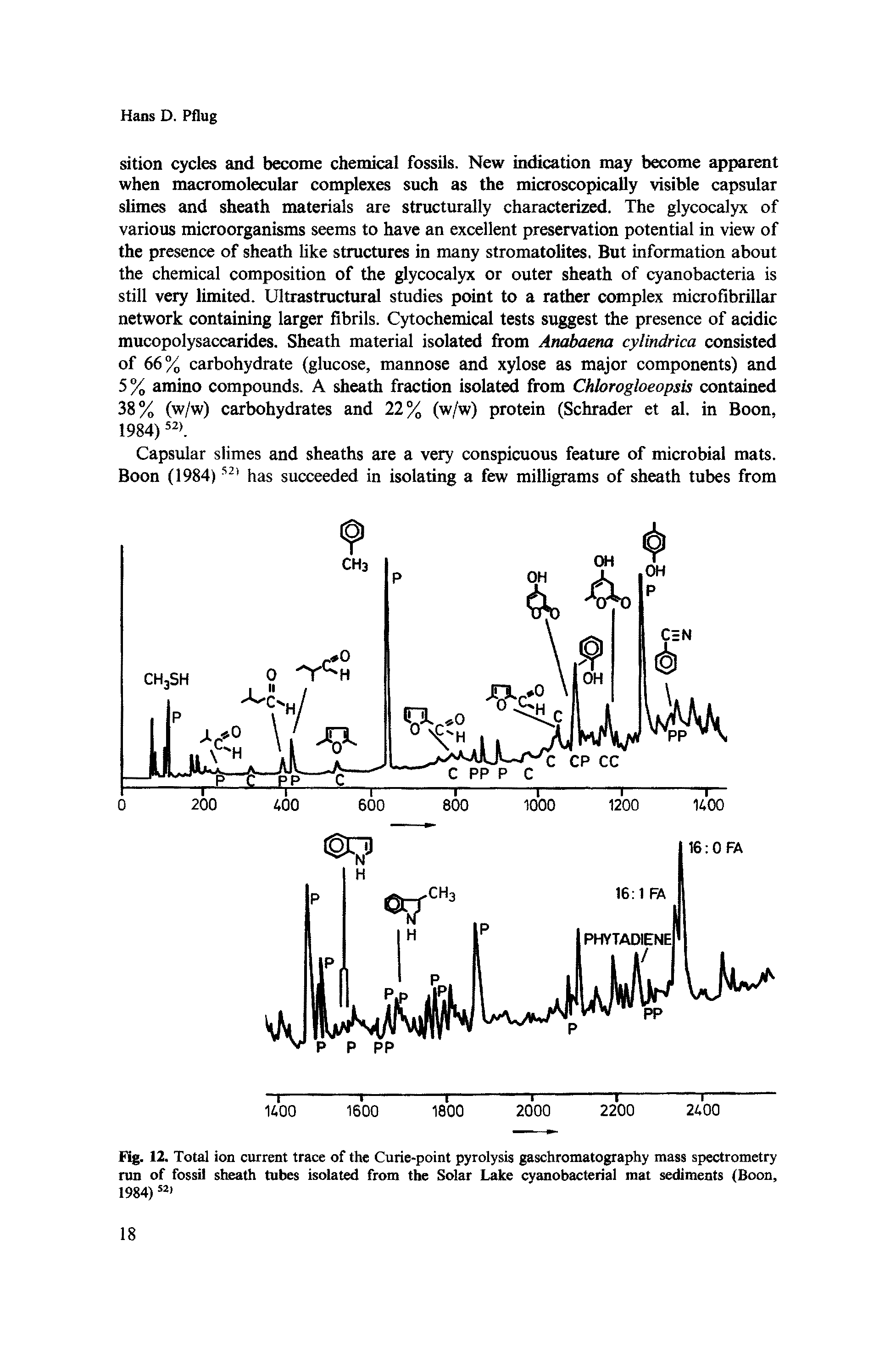 Fig. 12. Total ion current trace of the Curie-point pyrolysis gaschromatography mass spectrometry run of fossil sheath tubes isolated from the Solar Lake cyanobacterial mat sediments (Boon, 1984) 521...