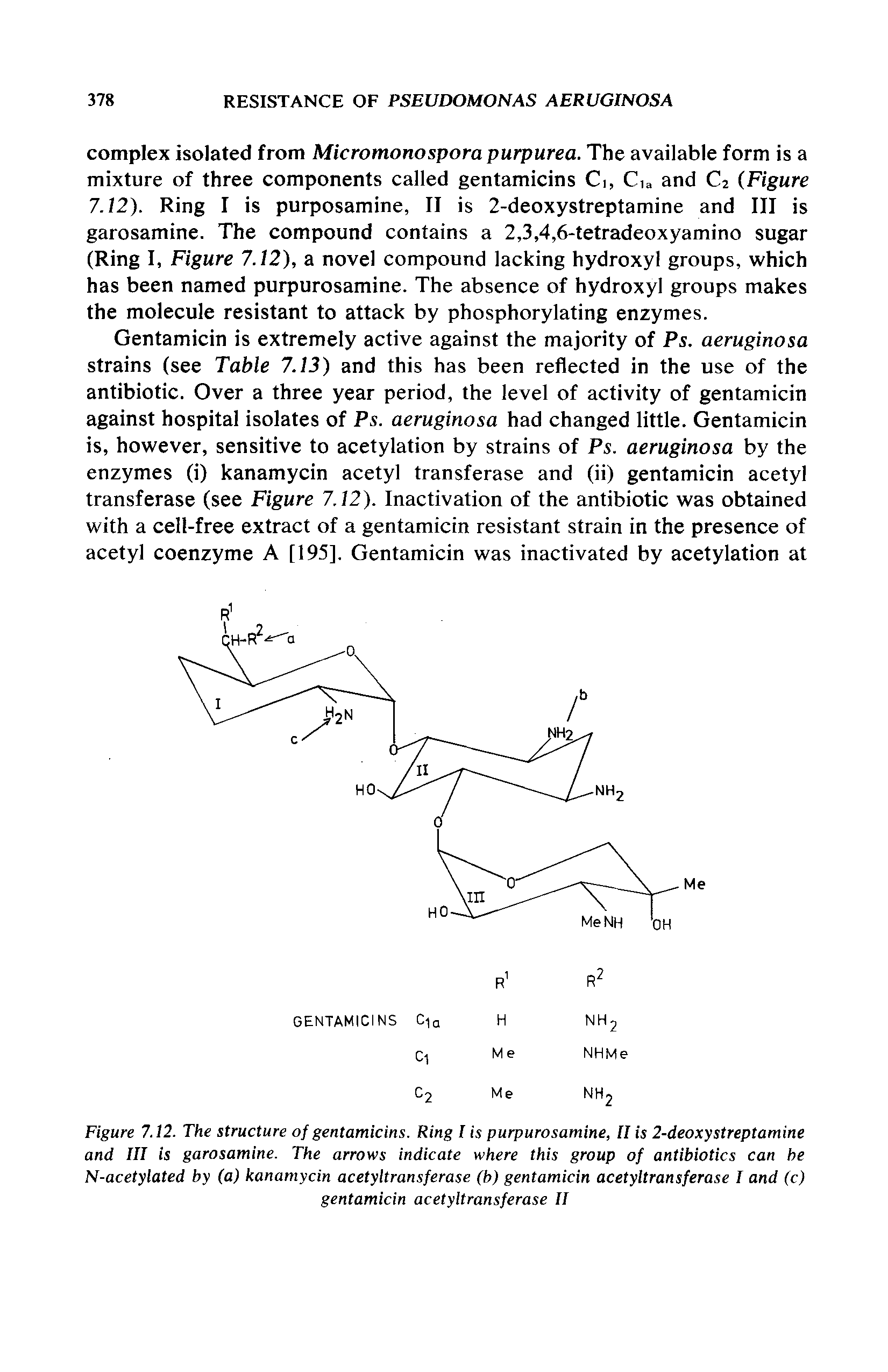 Figure 7.12. The structure of gentamicins. Ring I is purpurosamine, [I is 2-deoxystreptamine and III is garosamine. The arrows indicate where this group of antibiotics can he N-acetylated by (a) kanamycin acetyltransferase (b) gentamicin acetyltransferase I and (c) gentamicin acetyltransferase II...