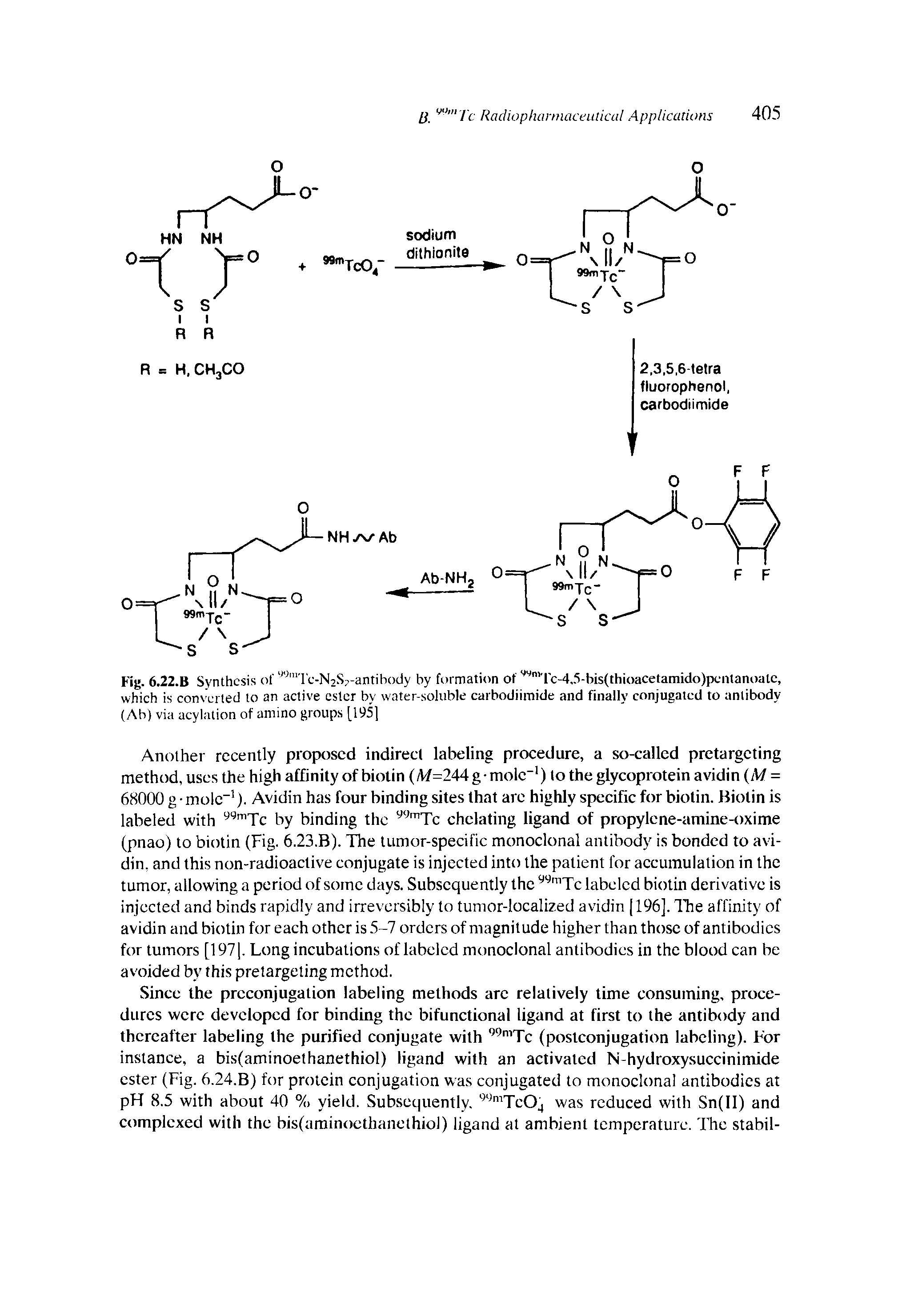 Fig. 6.22.B Synthesis ofrc-N2Sp-antihody by formation of " Tc-4,. i-bis(thioacetamido)pcntanoatc, which is con cited to an active ester by water-soluble carbodiimide and finally conjugated to antibody (Ab) via acylation of amino groups [195]...