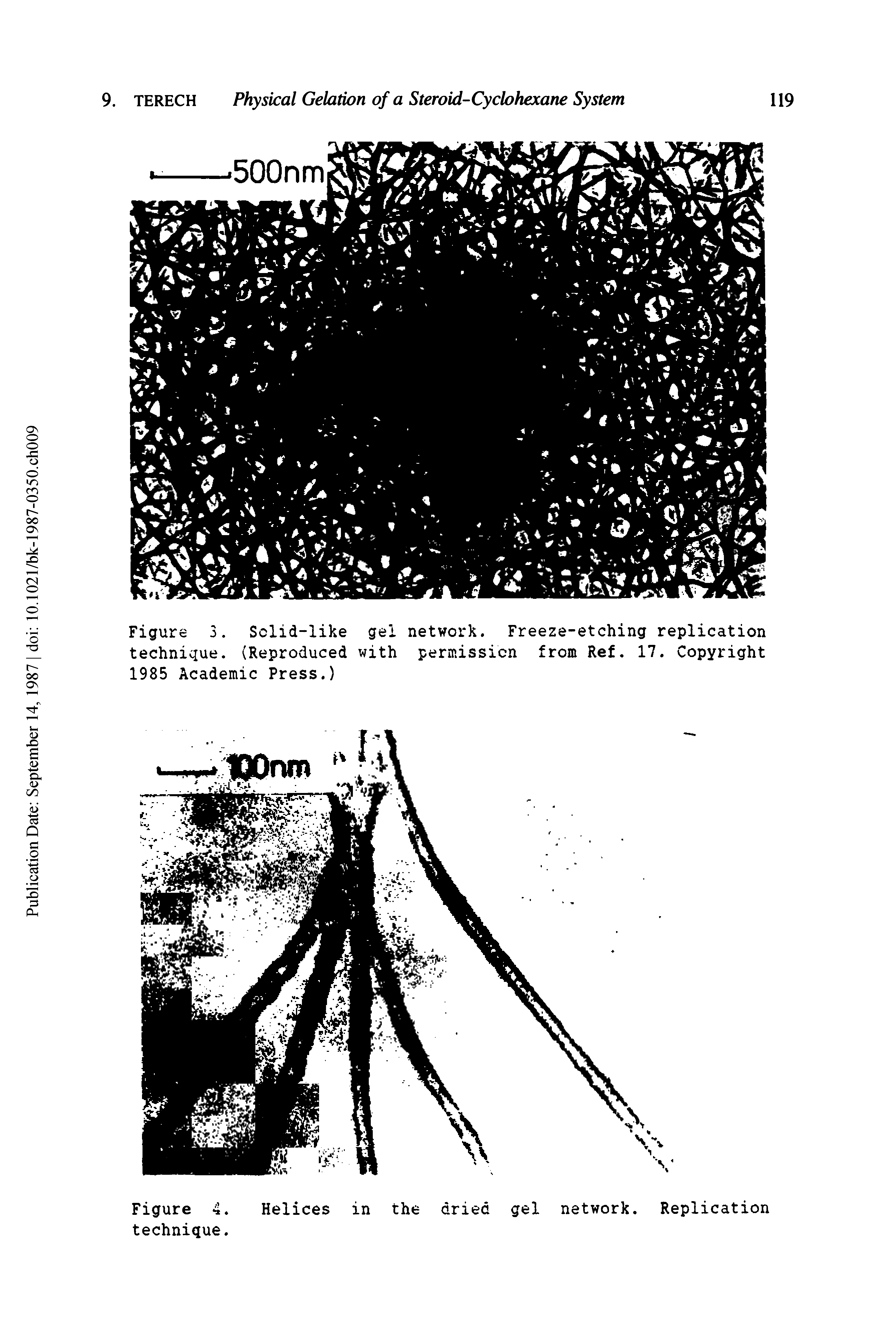 Figure 3. Sclid-like gel network. Freeze-etching replication technique. (Reproduced with permission from Ref. 17. Copyright 1985 Academic Press.)...