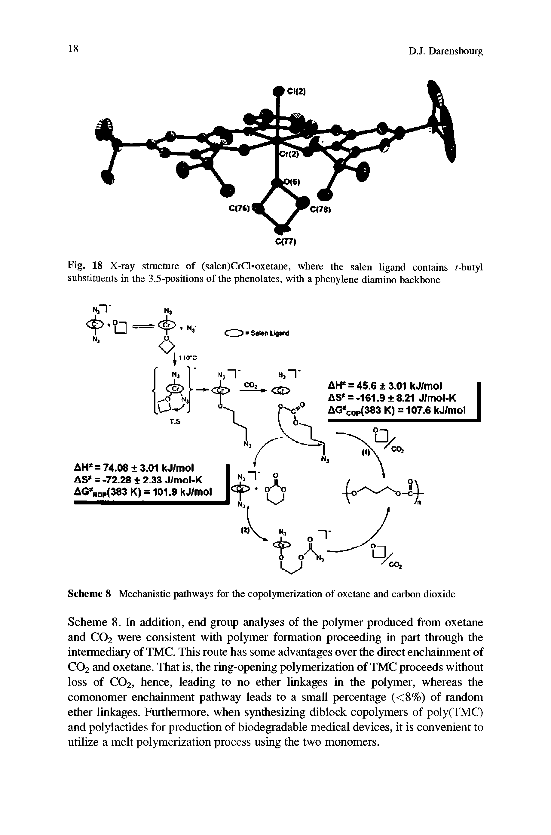 Scheme 8 Mechanistic pathways for the copolymerization of oxetane and carbon dioxide...