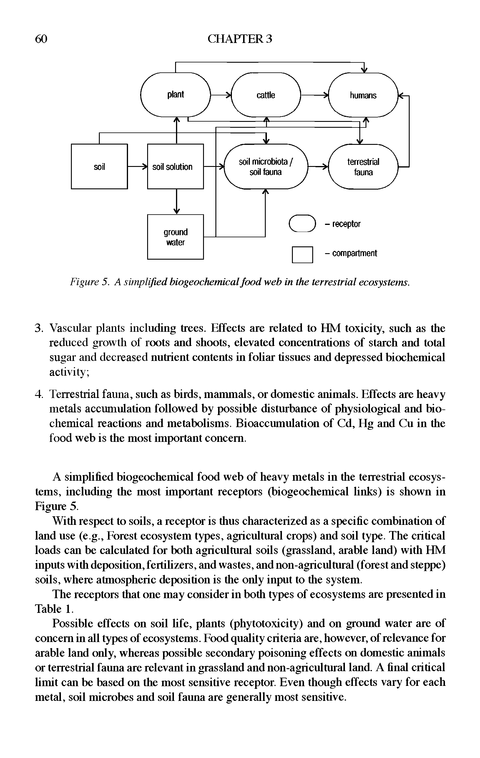 Figure 5. A simplified biogeochemical food web in the terrestrial ecosystems.