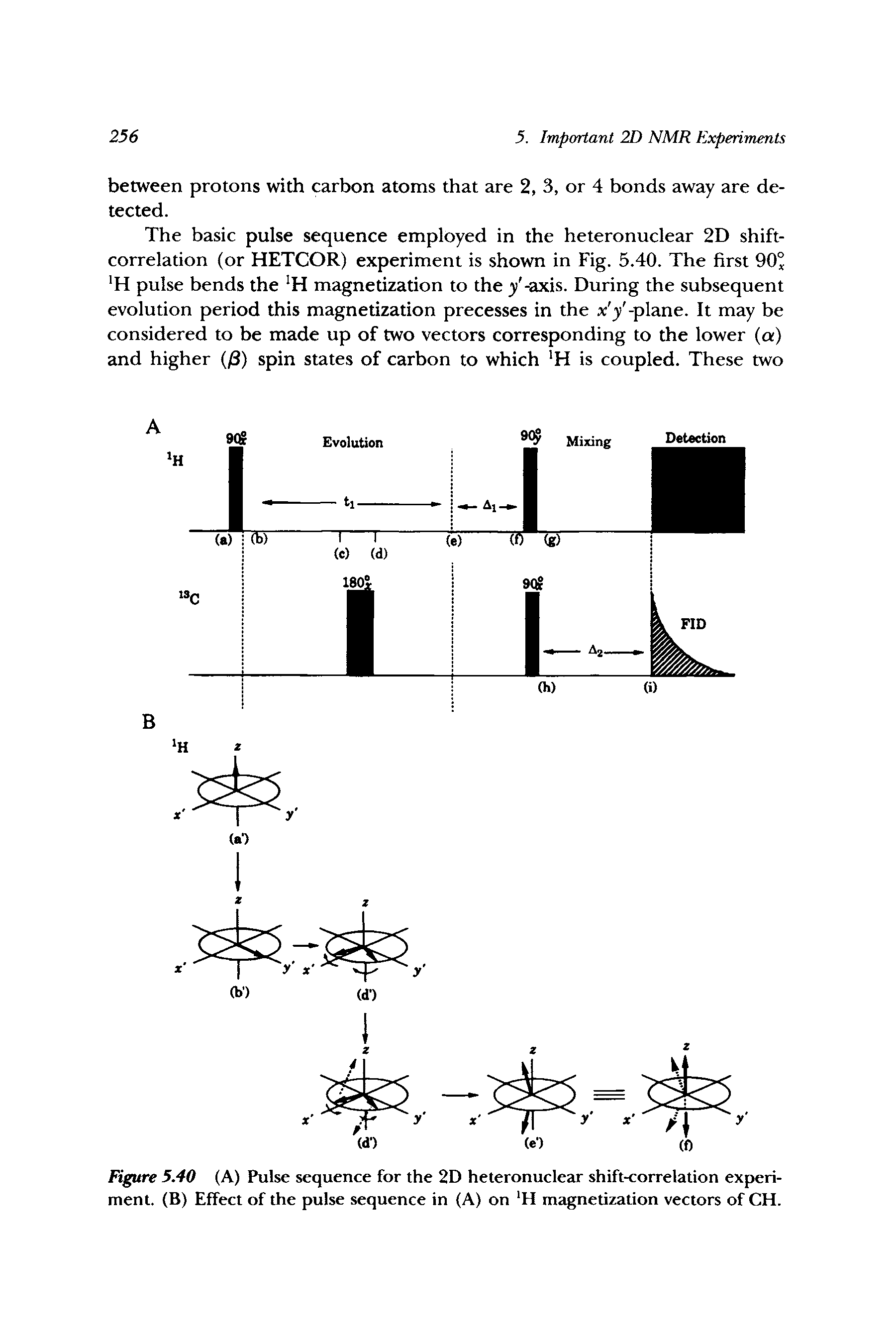 Figure 5.40 (A) Pulse sequence for the 2D heteronuclear shift-correlation experiment. (B) Effect of the pulse sequence in (A) on H magnetization vectors of CH.