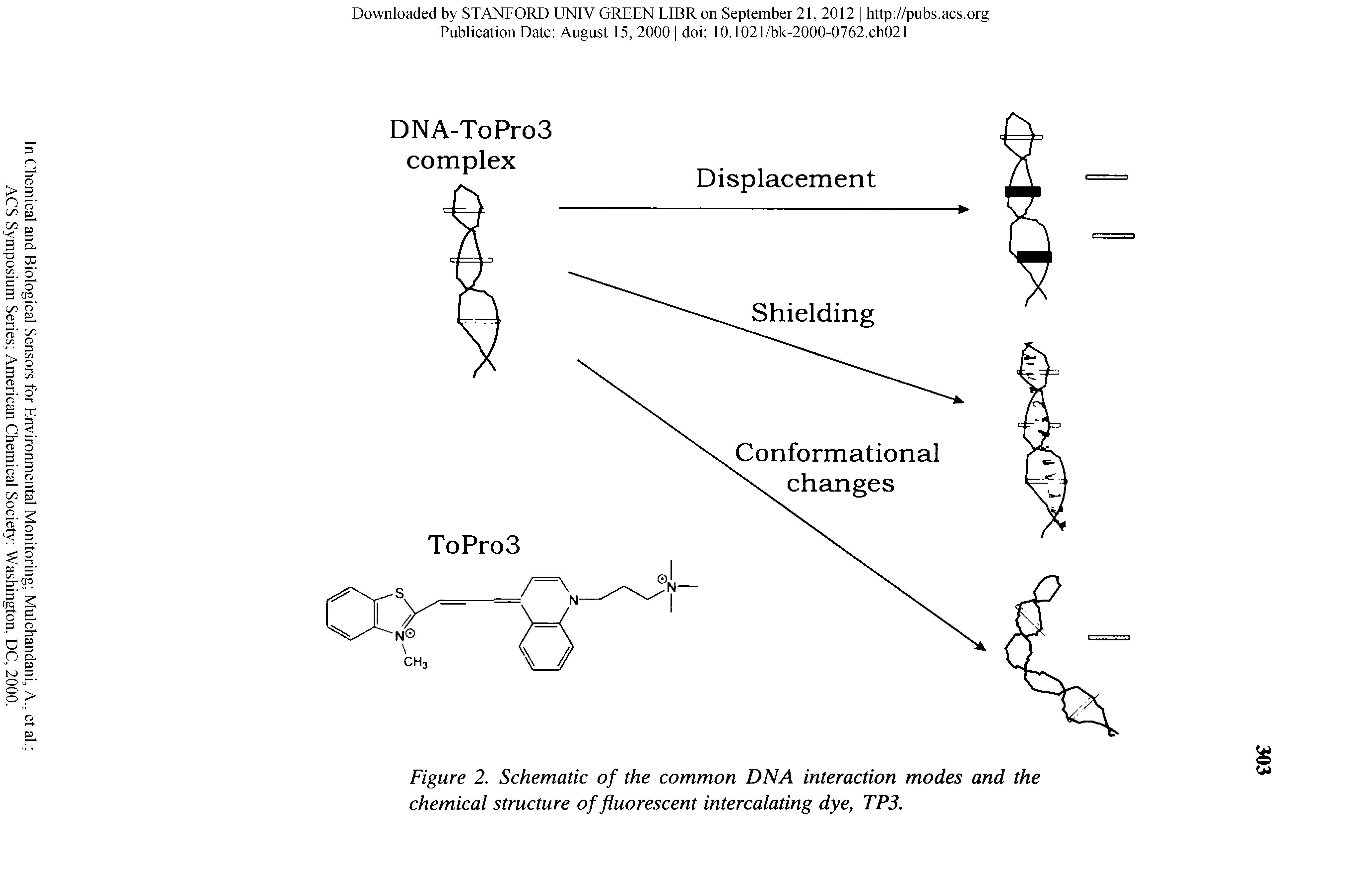 Figure 2. Schematic of the common DNA interaction modes and the chemical structure of fluorescent intercalating dye, TP3,...