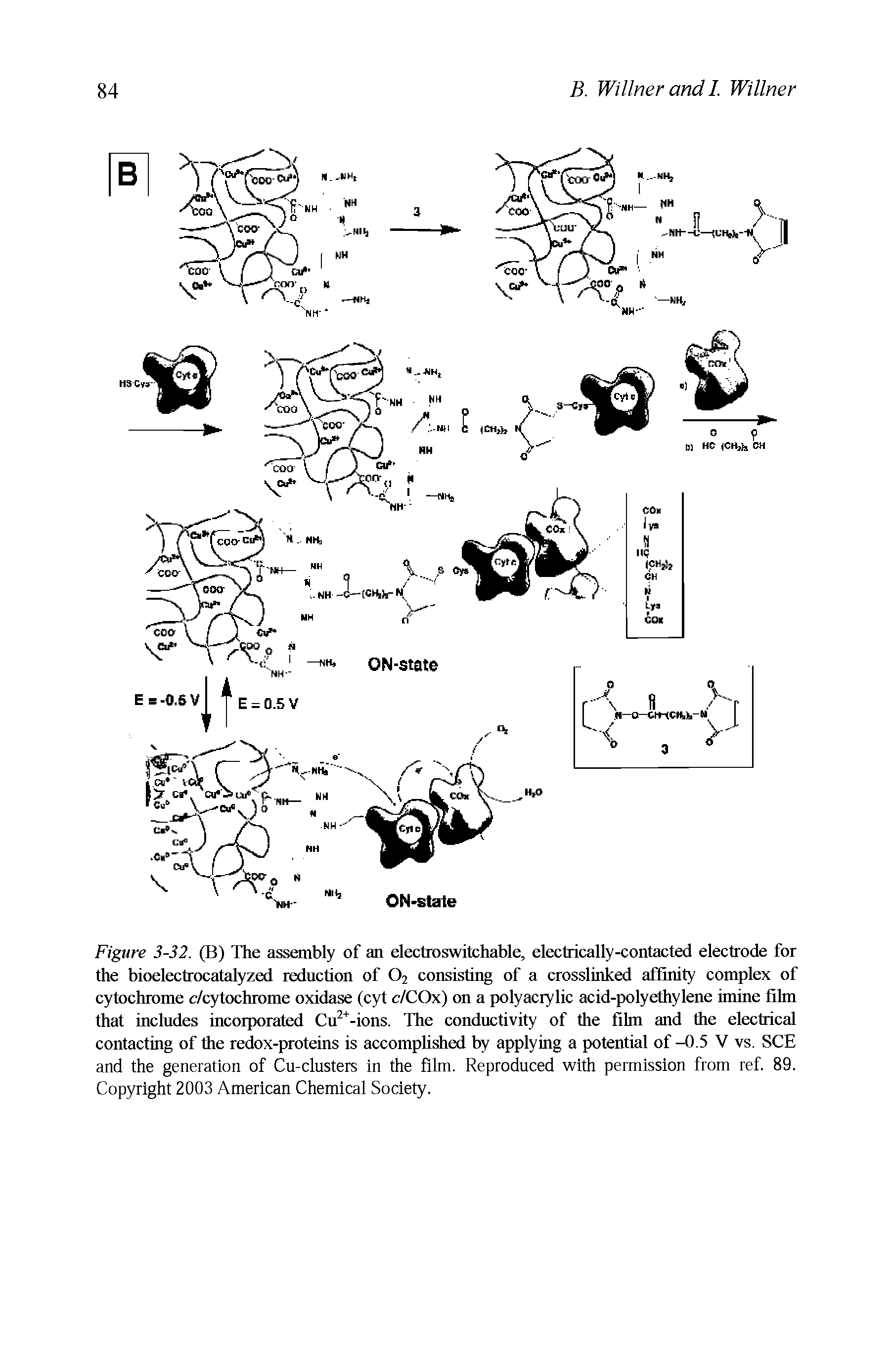 Figure 3-32. (B) The assembly of an electroswitchable, electrically-contacted electrode for the bioelectrocatalyzed reduction of O2 consisting of a crosslinked affinity complex of cytochrome c/cytochrome oxidase (cyt c/COx) on a polyacrylic acid-polyethylene imine film that includes incorporated Cu -ions. The conductivity of the film and the electrical contacting of the redox-proteins is accomphshed by applying a potential of -0.5 V vs. SCE and the generation of Cu-clusters in the film. Reproduced with permission from ref. 89. Copyright 2003 American Chemical Society.
