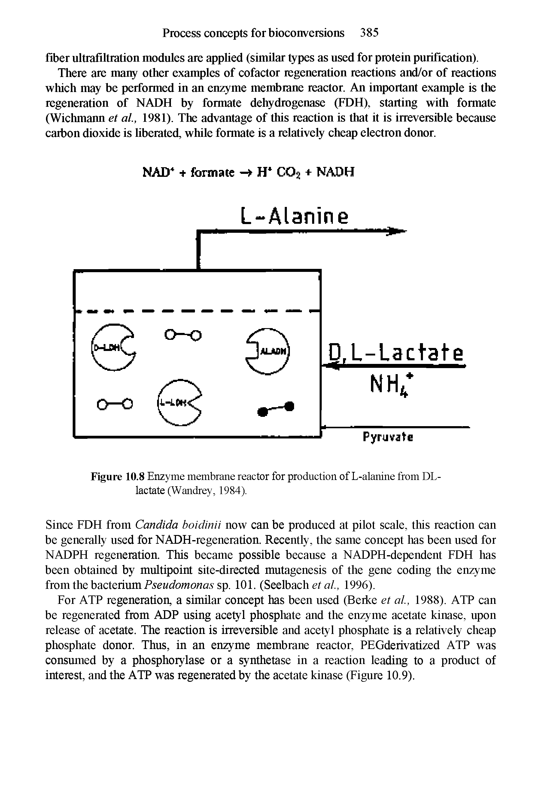 Figure 10.8 Enzyme membrane reactor for production of L-alanine from DL-lactate (Wandrey, 1984).