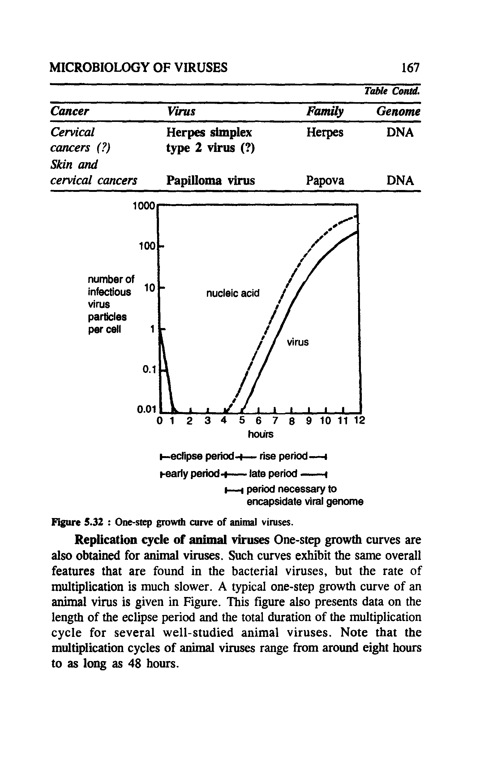 Figure 5.32 One-step growth curve of animal viruses.