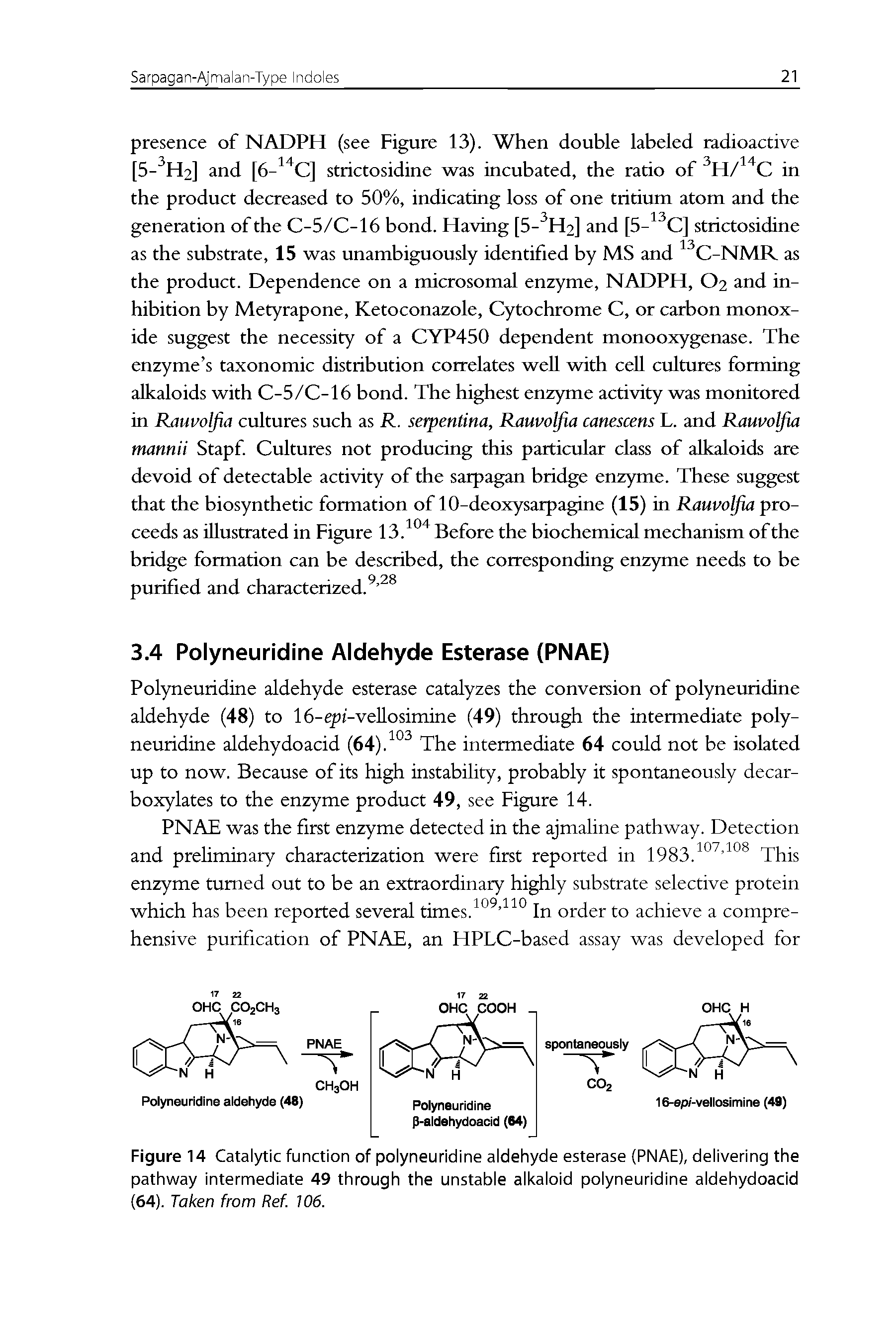 Figure 14 Catalytic function of polyneuridine aldehyde esterase (PNAE), delivering the pathway intermediate 49 through the unstable alkaloid polyneuridine aldehydoacid (64). Taken from Ref. 106.