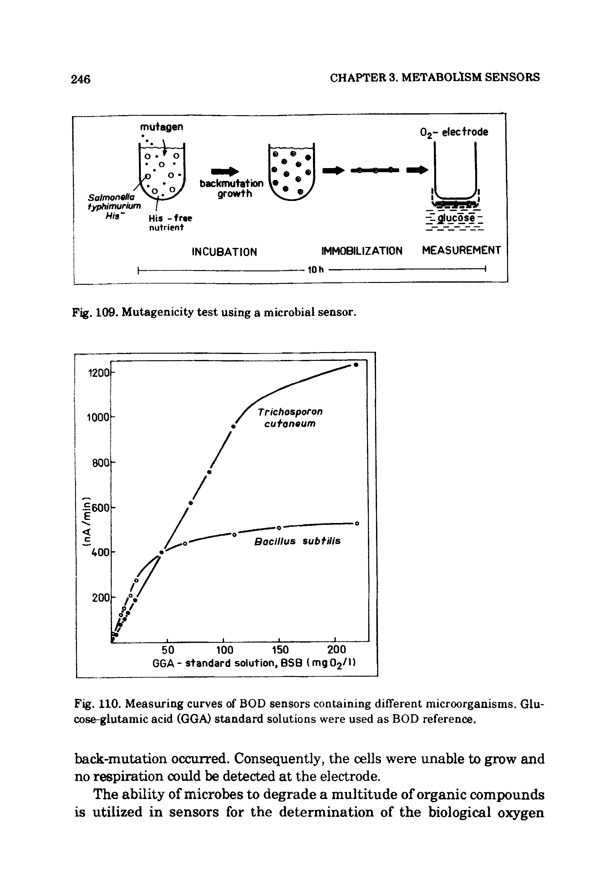 Fig. 110. Measuring curves of BOD sensors containing different microorganisms. Glucose-glutamic acid (GGA) standard solutions were used as BOD reference.