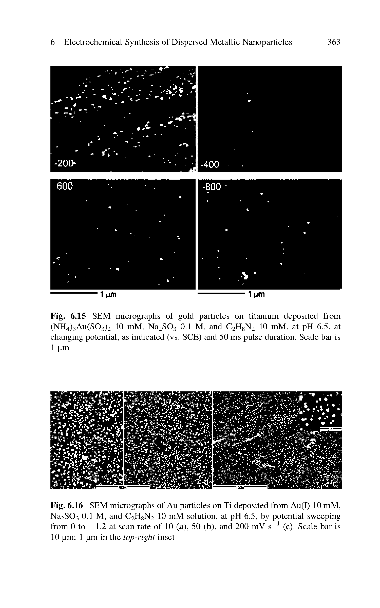 Fig. 6.15 SEM micrographs of gold particles on titanium deposited from (NH4)3Au(S03)2 10 mM, Na2S03 0.1 M, and C2HgN2 10 mM, at pH 6.5, at changing potential, as indicated (vs. SCE) and 50 ms pulse duration. Scale bar is 1 pm...