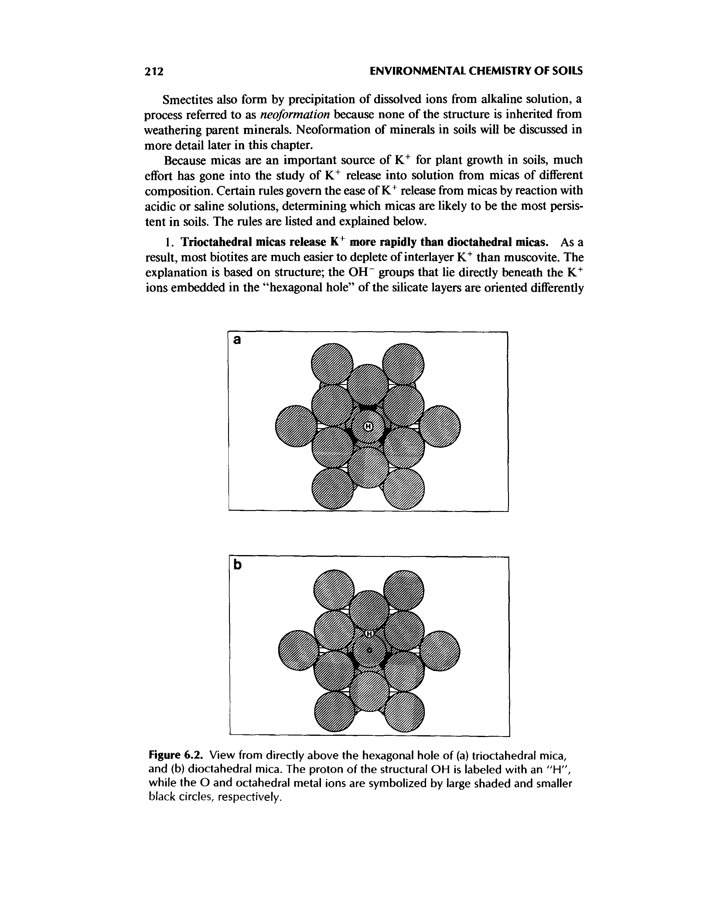 Figure 6.2. View from directly above the hexagonal hole of (a) trioctahedral mica, and (b) dioctahedral mica. The proton of the structural OH is labeled with an "H", while the O and octahedral metal ions are symbolized by large shaded and smaller black circles, respectively.