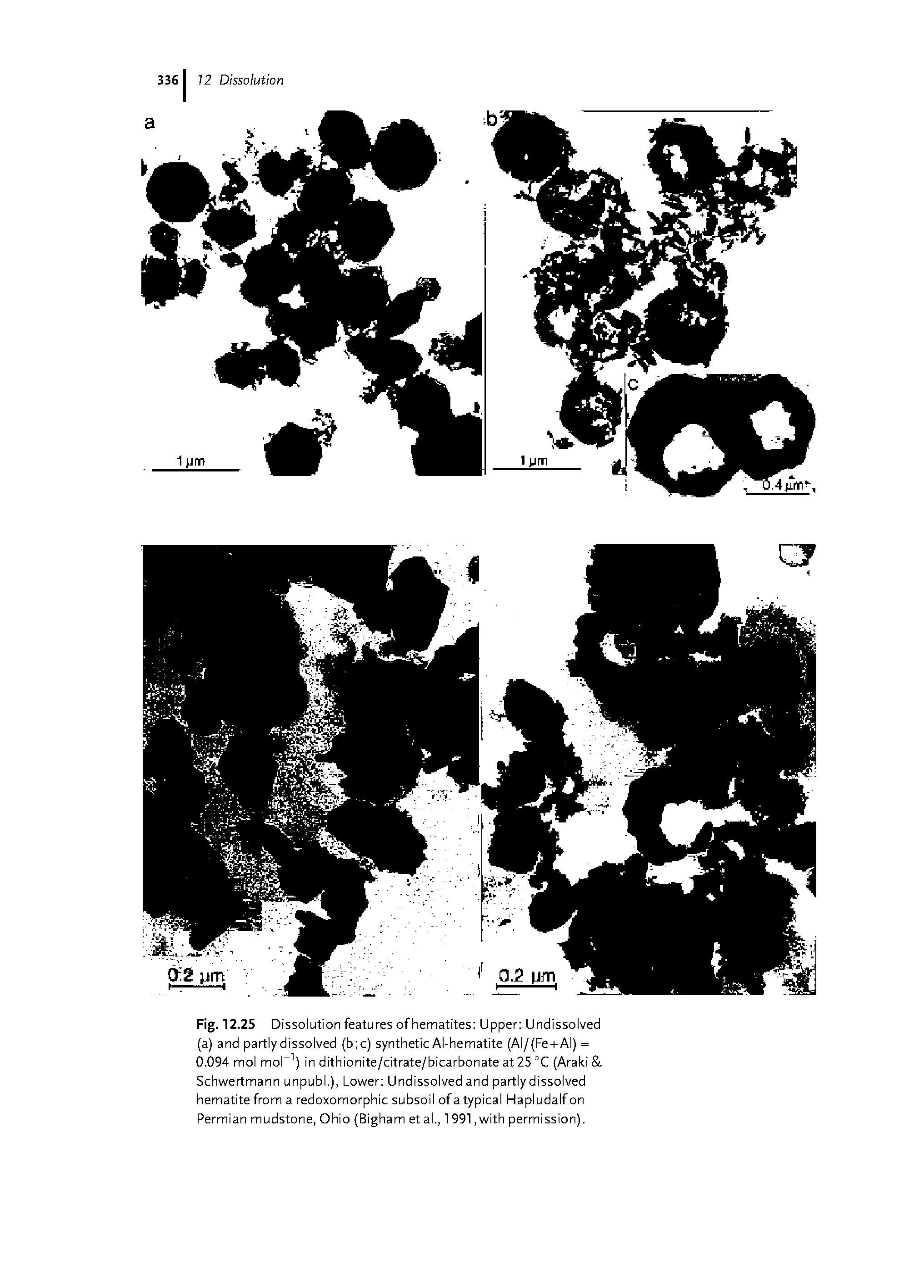Fig. 12.25 Di ssolution features of hematites Upper Undissolved (a) and partly dissolved (b c) synthetic Al-hematite (AI/(Fe+AI) = 0.094 mol moT j in dithionite/citrate/bicarbonate at25 (Araki Sch A/ertmann unpubl.), Lo A/er Undissolved and partly dissolved hematite from a redoxomorphic subsoil of a typical Hapludalf on Permian mudstone, Ohio (Bigham et al., 1991, A/ith permission).