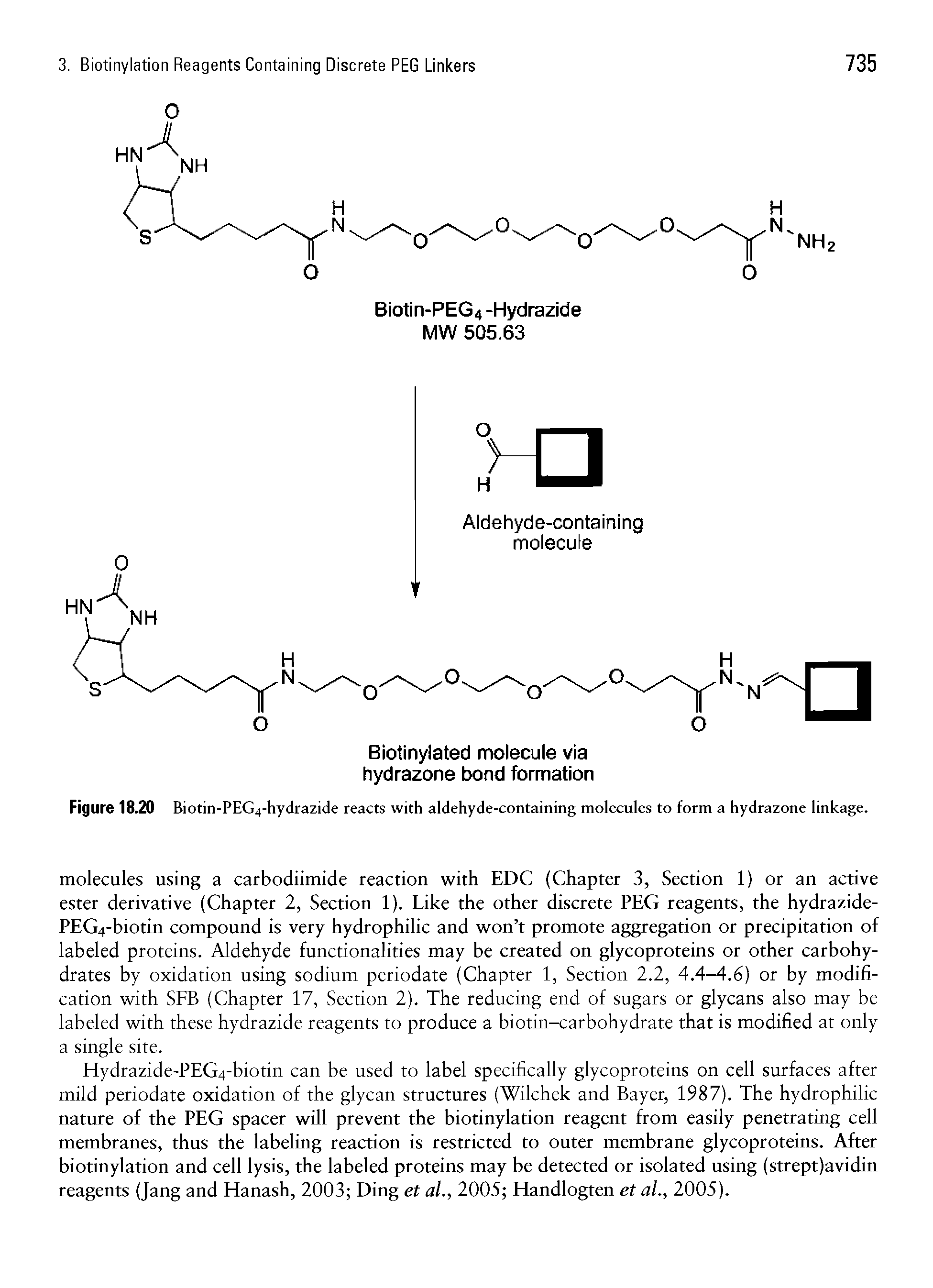 Figure 18.20 Biotin-PEG4-hydrazide reacts with aldehyde-containing molecules to form a hydrazone linkage.