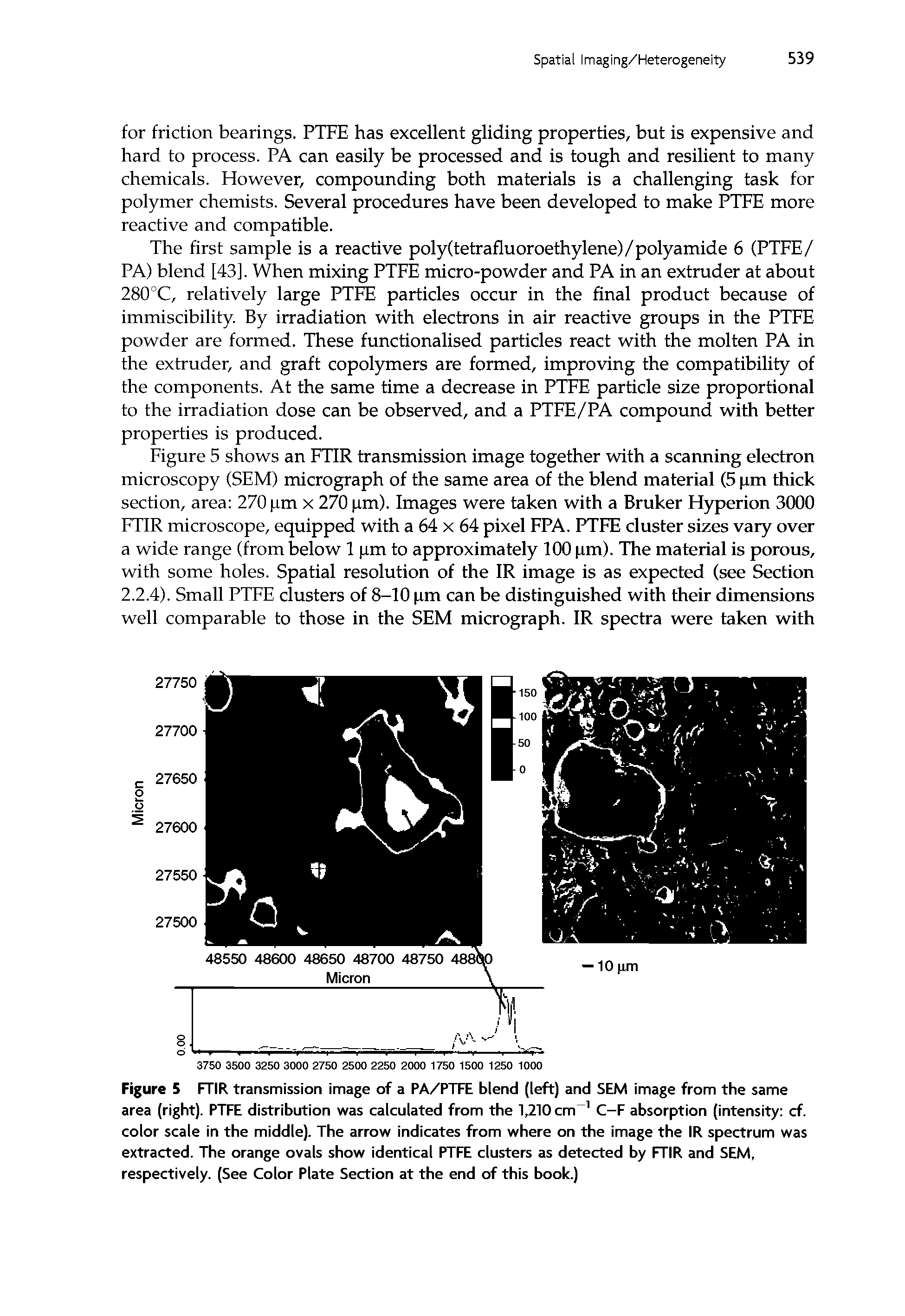 Figure 5 FTIR transmission image of a PA/PTFE blend (left) and SEM image from the same area (right). PTFE distribution was calculated from the 1,210 cm 1 C-F absorption (intensity cf. color scale in the middle). The arrow indicates from where on the image the IR spectrum was extracted. The orange ovals show identical PTFE clusters as detected by FTIR and SEM, respectively. (See Color Plate Section at the end of this book.)...