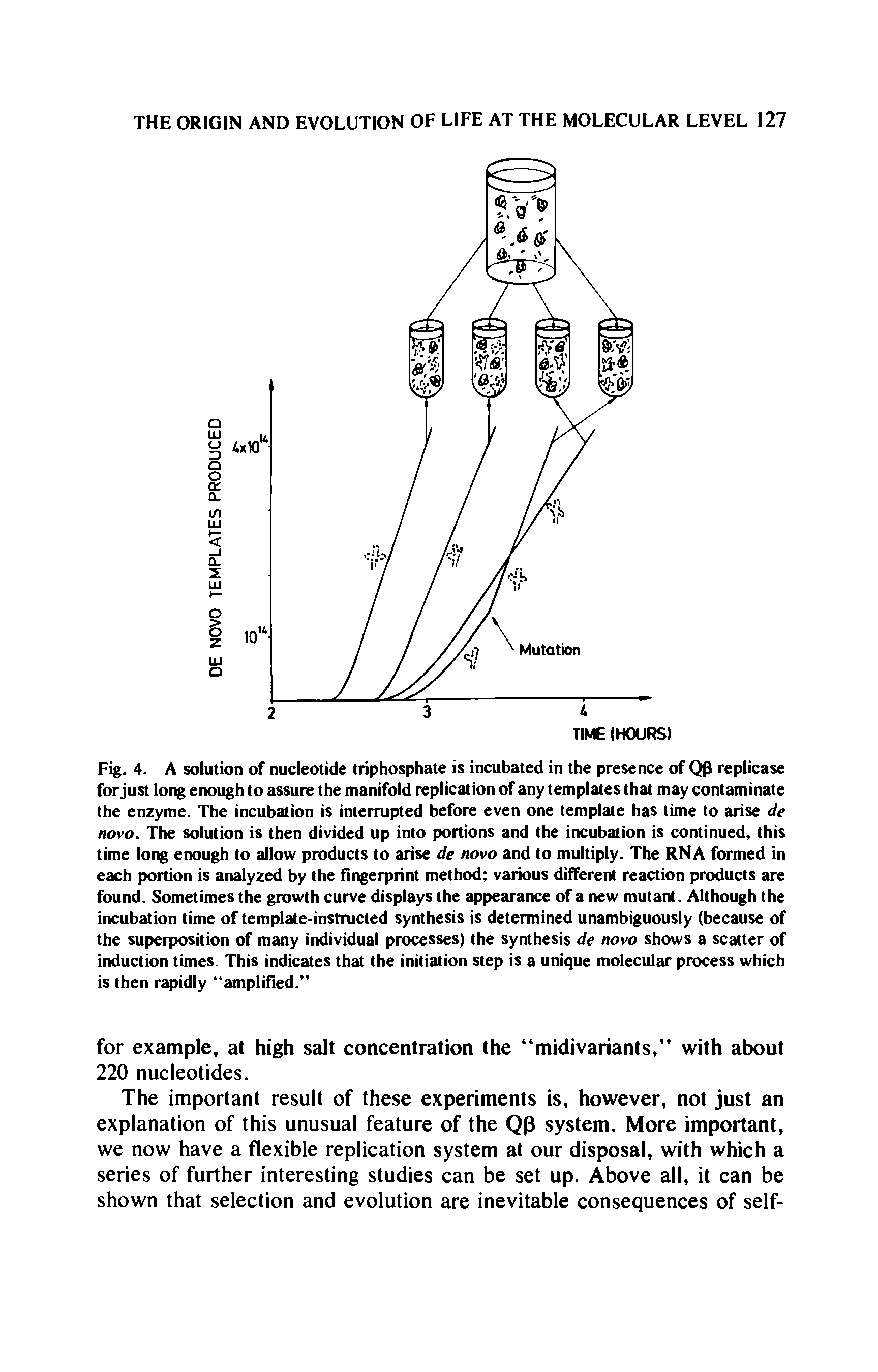 Fig. 4. A solution of nucleotide triphosphate is incubated in the presence of QP replicase for just long enough to assure the manifold replication of any templates that may contaminate the enzyme. The incubation is interrupted before even one template has time to arise de novo. The solution is then divided up into portions and the incubation is continued, this time long enough to allow products to arise de novo and to multiply. The RNA formed in each portion is analyzed by the fingerprint method various different reaction products are found. Sometimes the growth curve displays the appearance of a new mutant. Although the incubation time of template-instructed synthesis is determined unambiguously (because of the superposition of many individual processes) the synthesis de novo shows a scatter of induction times. This indicates that the initiation step is a unique molecular process which is then rapidly amplified. ...
