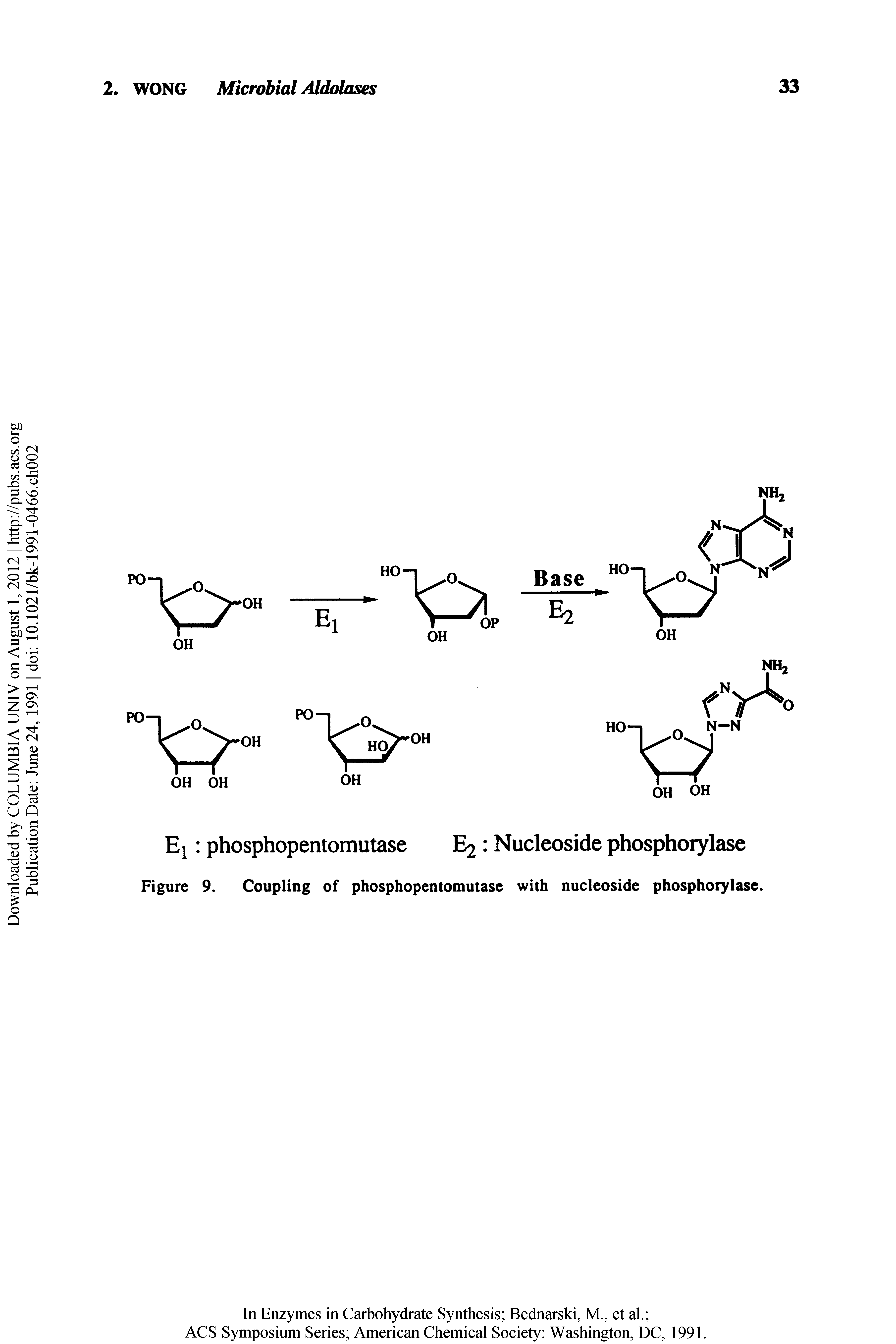 Figure 9. Coupling of phosphopentomutase with nucleoside phosphorylase.