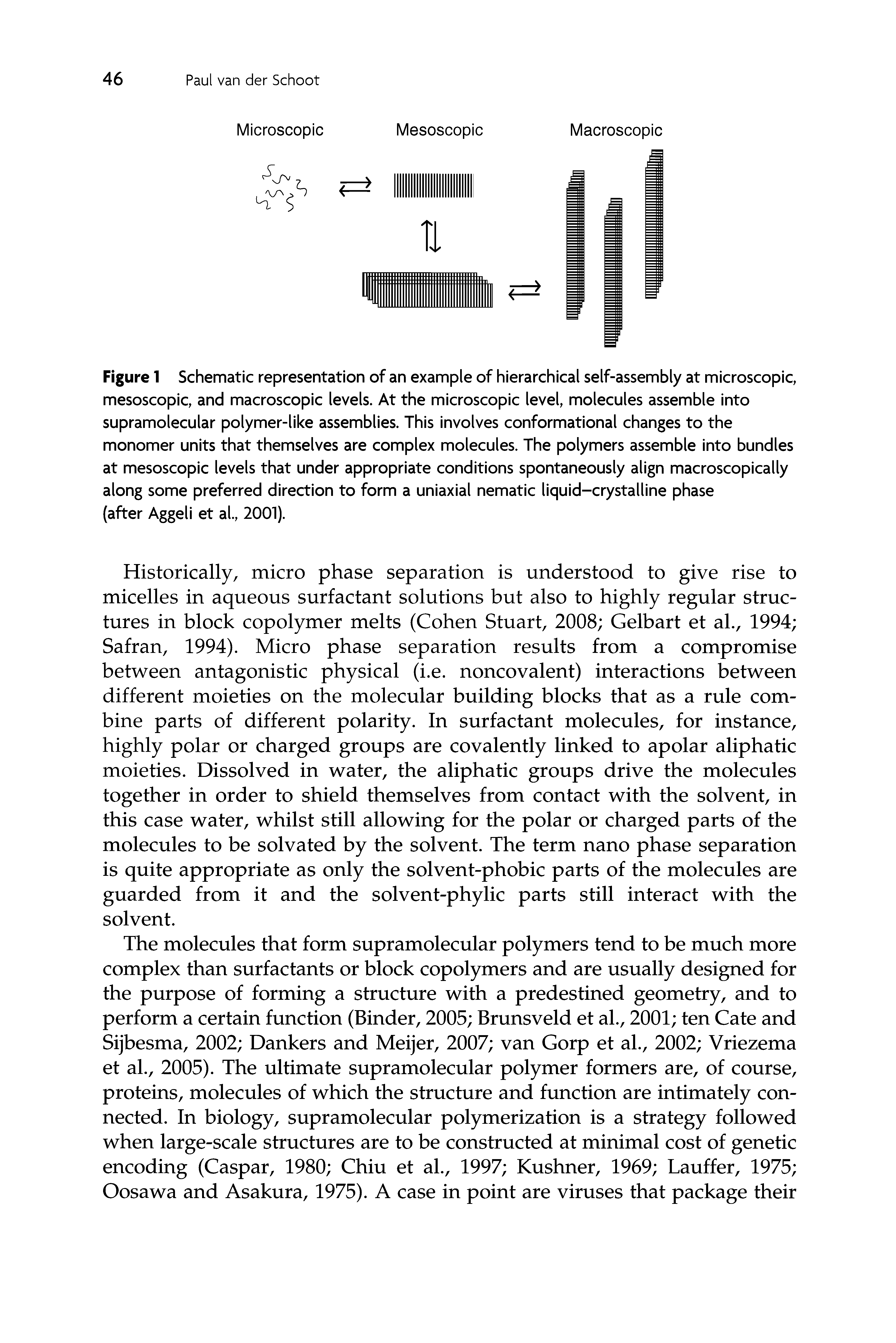 Figure I Schematic representation of an example of hierarchical self-assembly at microscopic, mesoscopic, and macroscopic levels. At the microscopic level, molecules assemble into supramolecular polymer-like assemblies. This involves conformational changes to the monomer units that themselves are complex molecules. The polymers assemble into bundles at mesoscopic levels that under appropriate conditions spontaneously align macroscopically along some preferred direction to form a uniaxial nematic liquid-crystalline phase (after Aggeli et al., 2001).